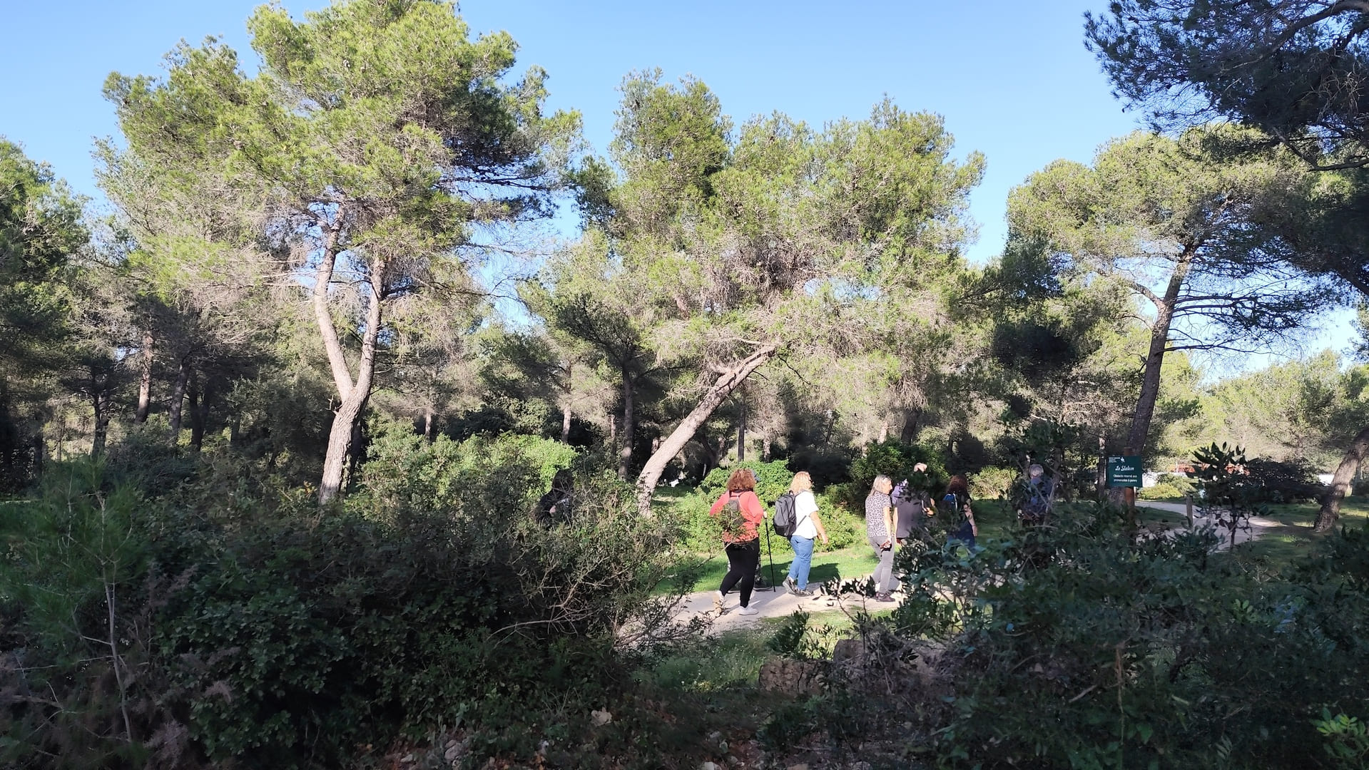 La Foul�e Zontienne Mart�gale