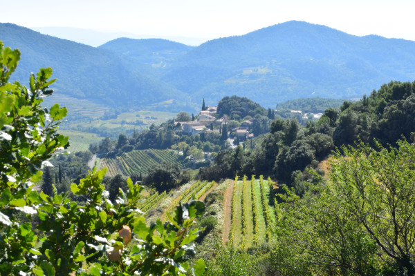 La Ronde des cpages avec Gigondas LaCave
