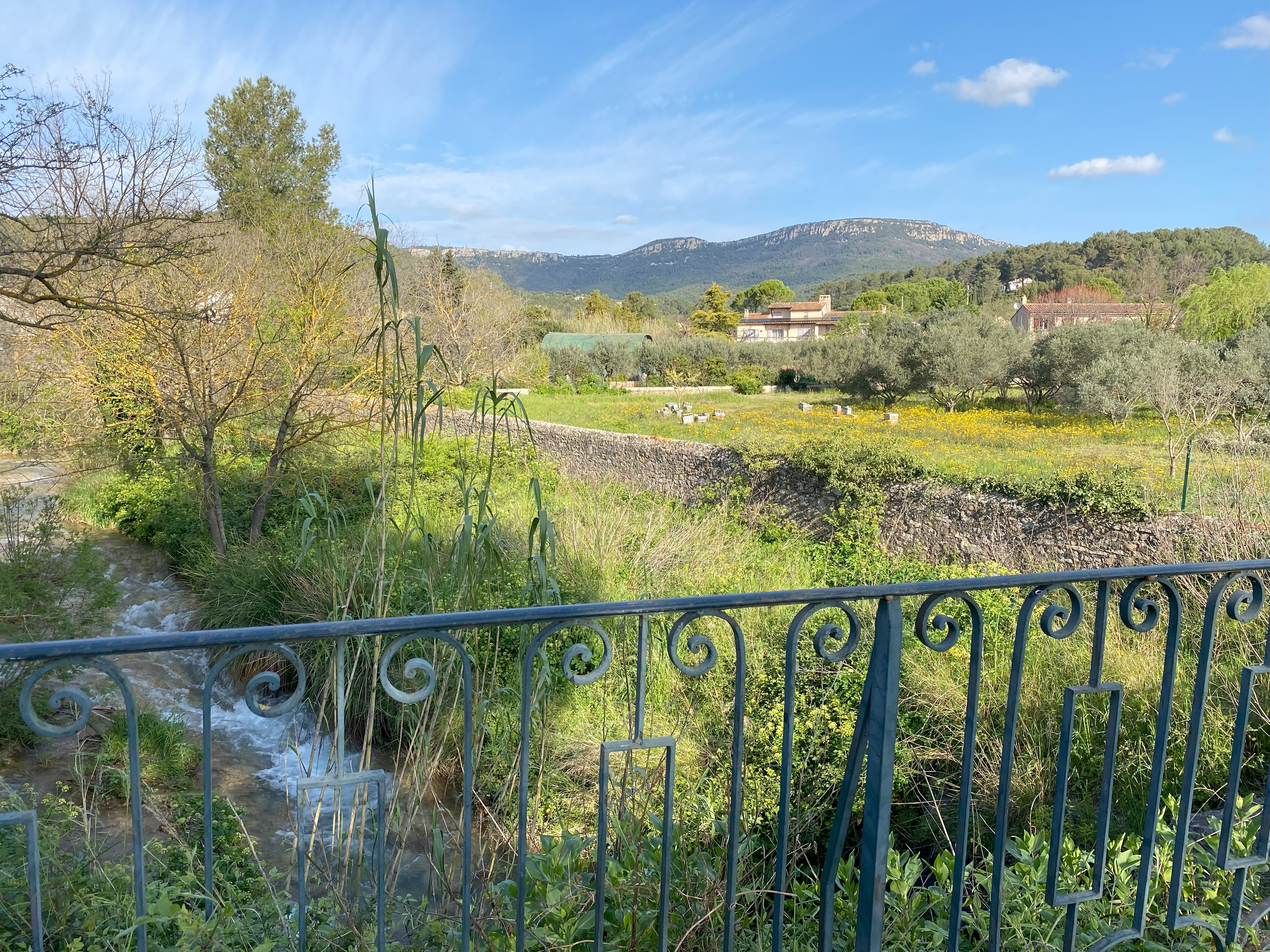 Visite guide :  la dcouverte du terroir cuersois