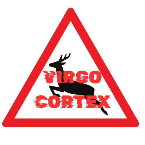 Groupe Virgo Cortex