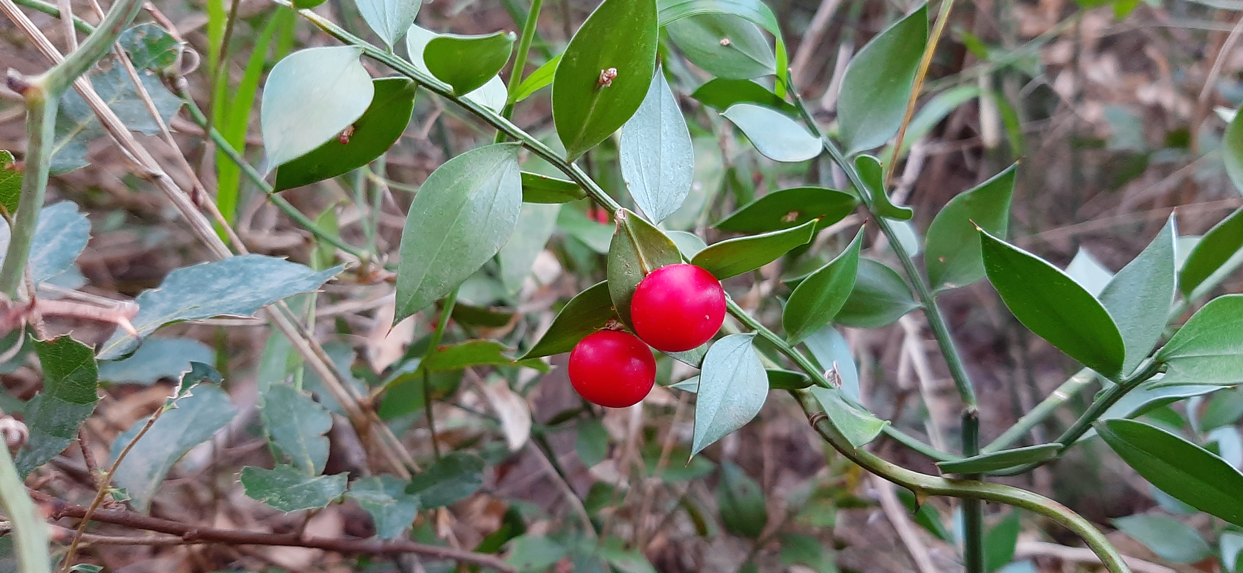 Balade nature 