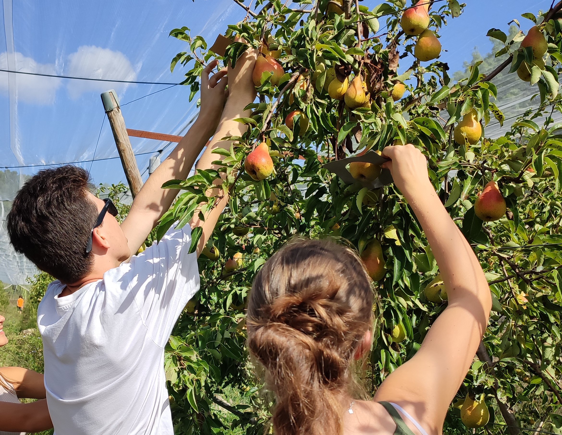 Visite exploitation agricole lyc�e Aix Valabre Marseille � Campus Nature Provence - Indus'3Days