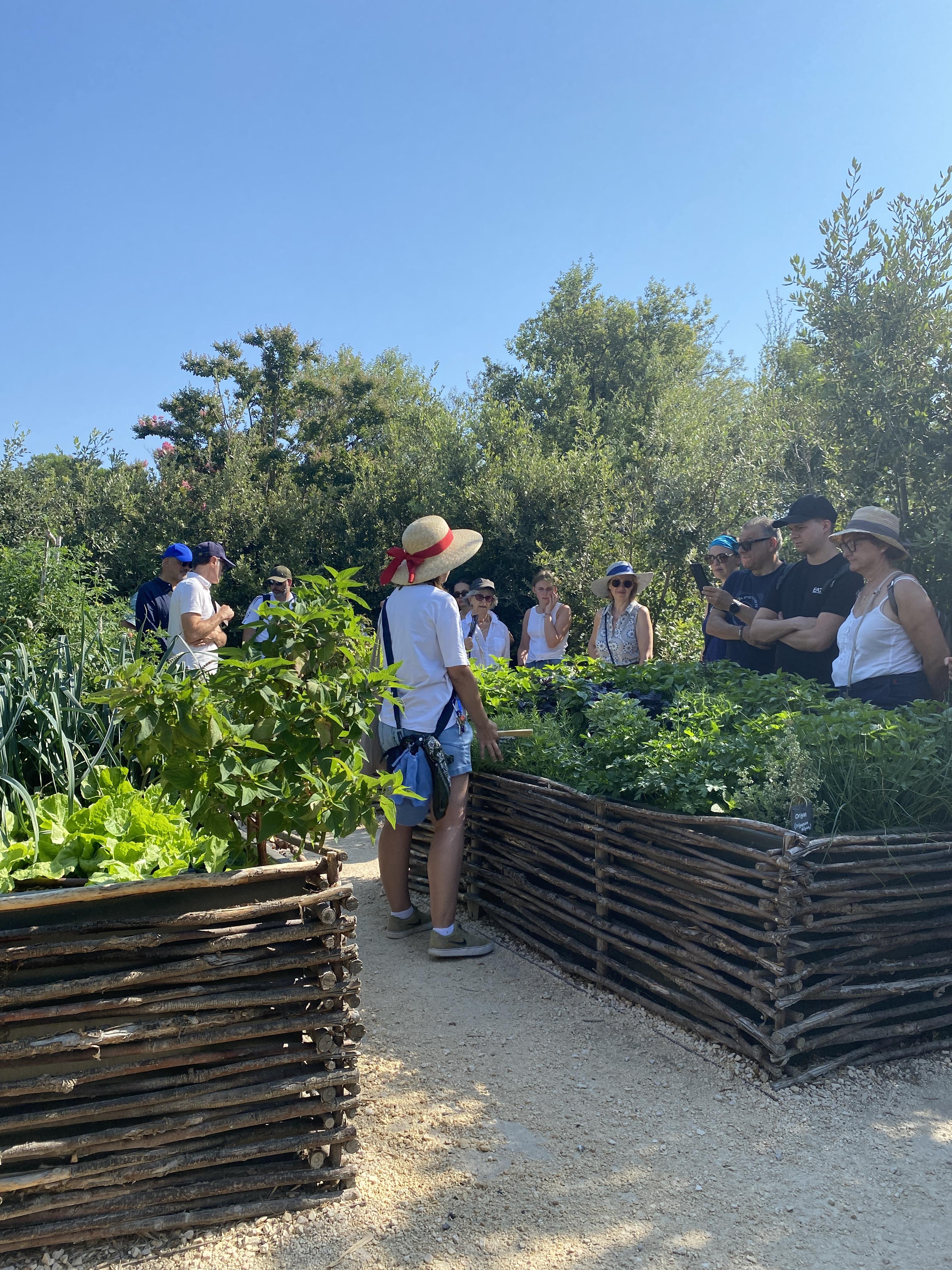 Visites Guid�es du Jardin et du ch�teau des Baux -de-Provence