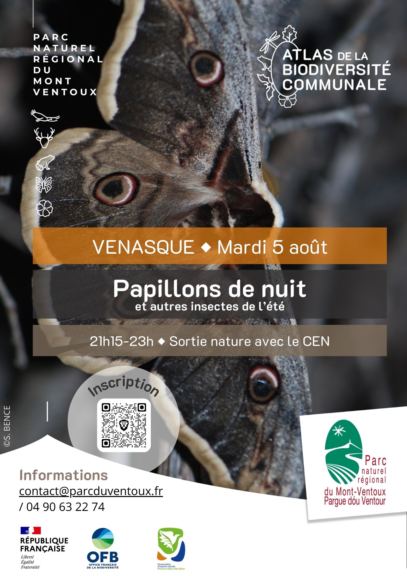 Les sorties BiodivABC du Parc : Papillons de nuit et autres insectes de l't