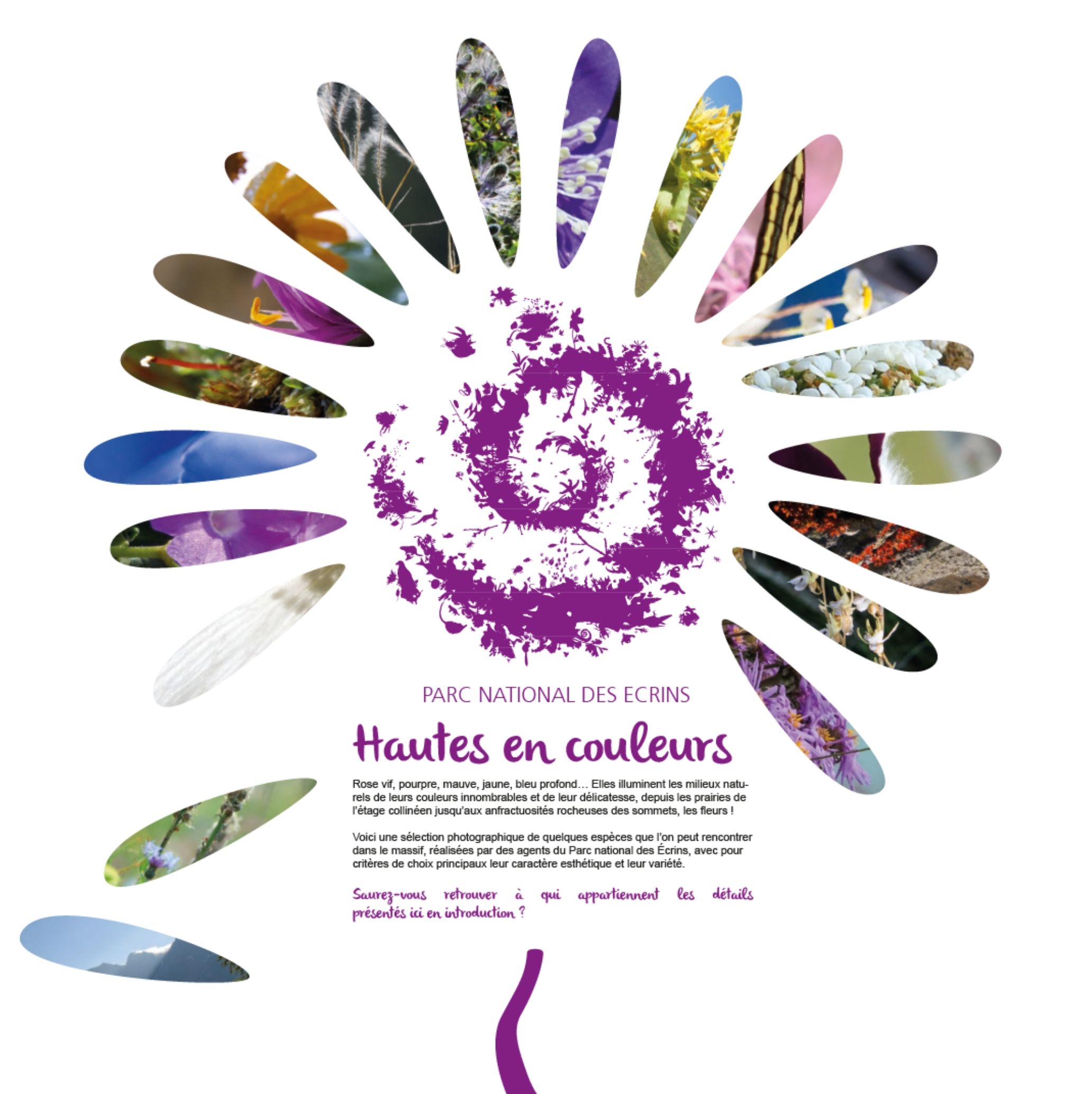 Exposition Hautes en couleurs