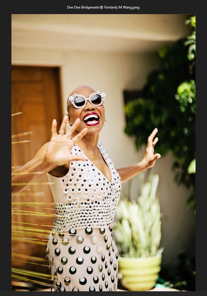 Erik Truffaz - Dee Dee Bridgewater