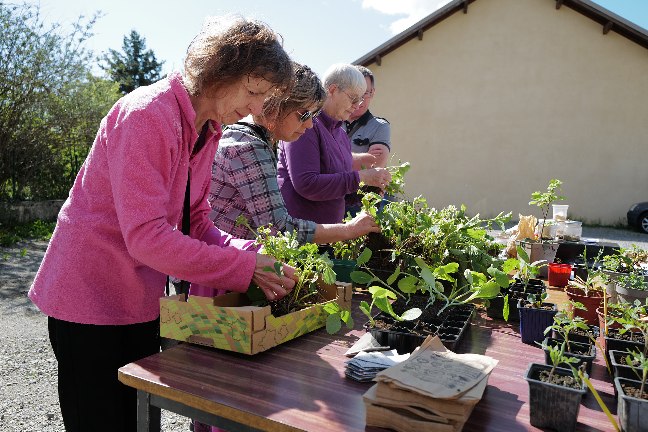 Troc de plants et graines