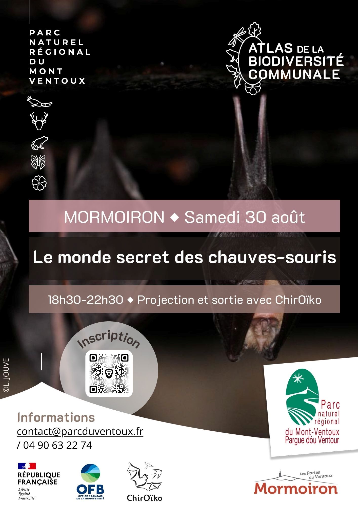 Les sorties BiodivABC du Parc : Le monde secret des chauves-souris