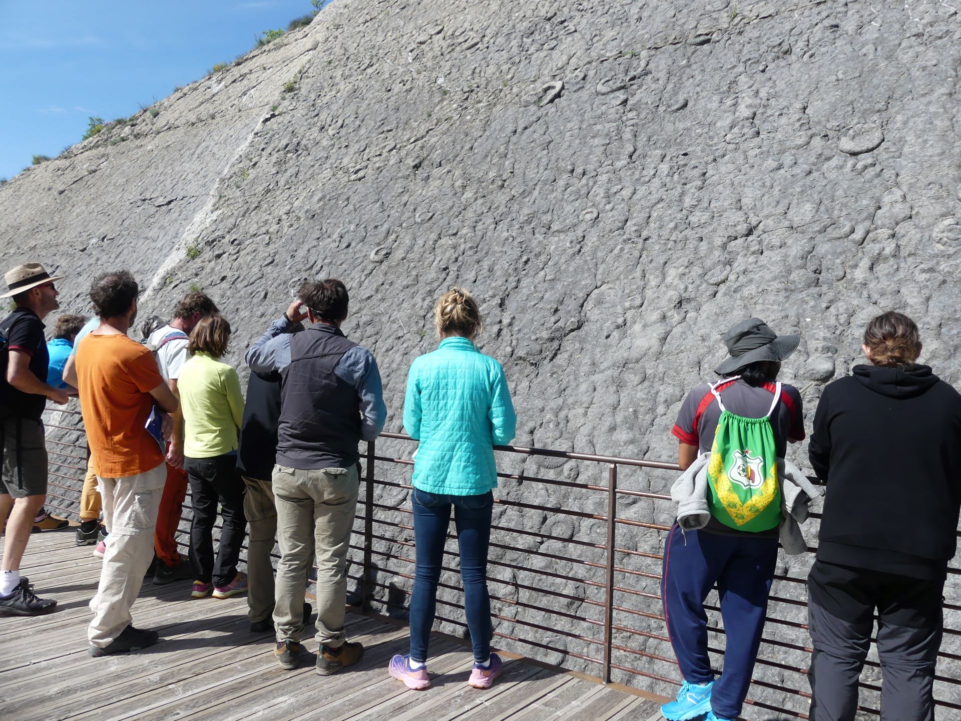 Gorando : la Dalle aux Ammonites