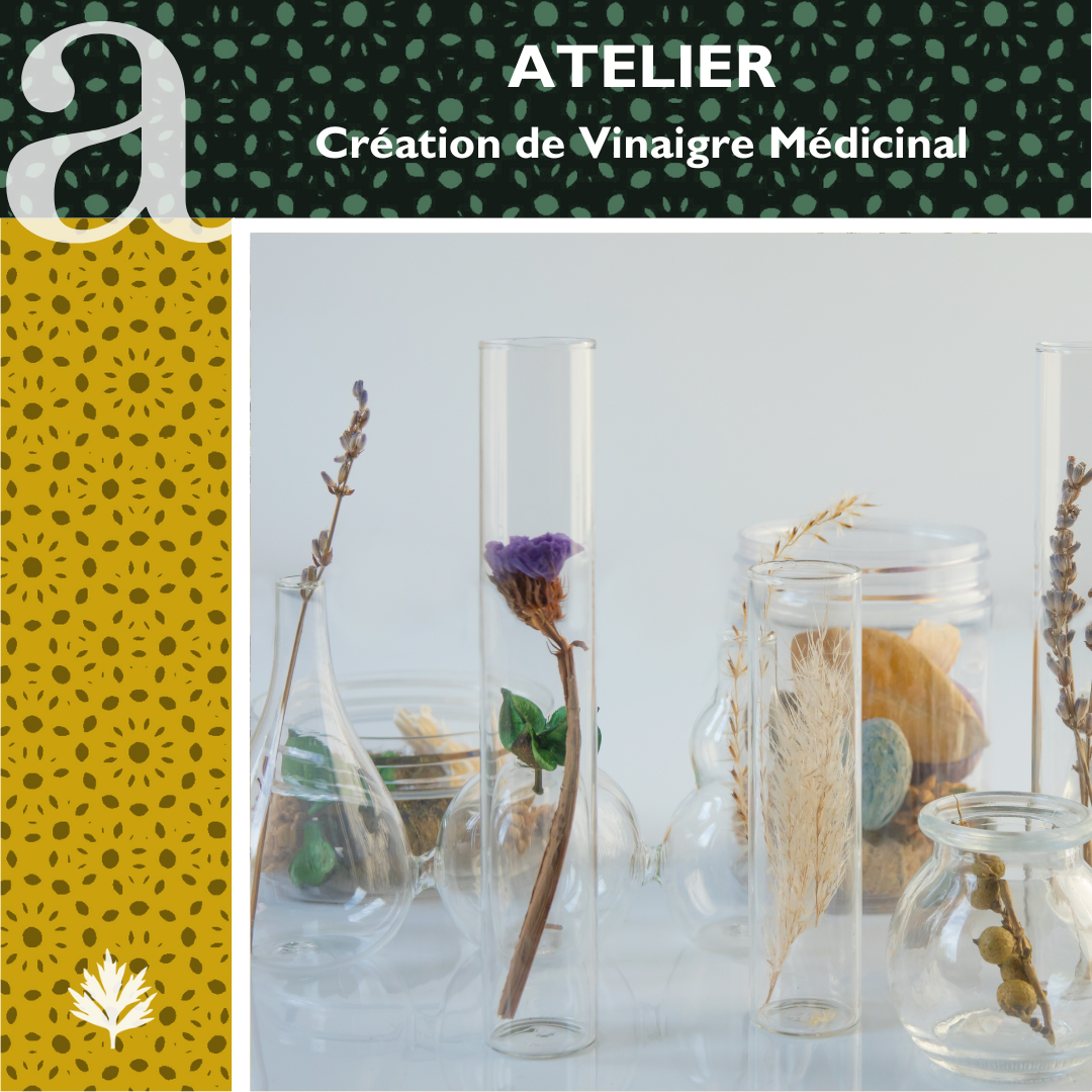 Atelier de Cration de Vinaigre Mdicinal