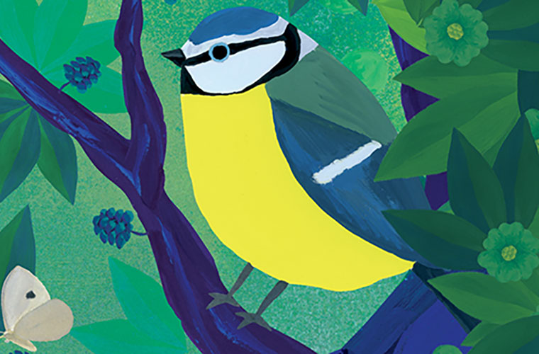 Exposition - Observons les oiseaux