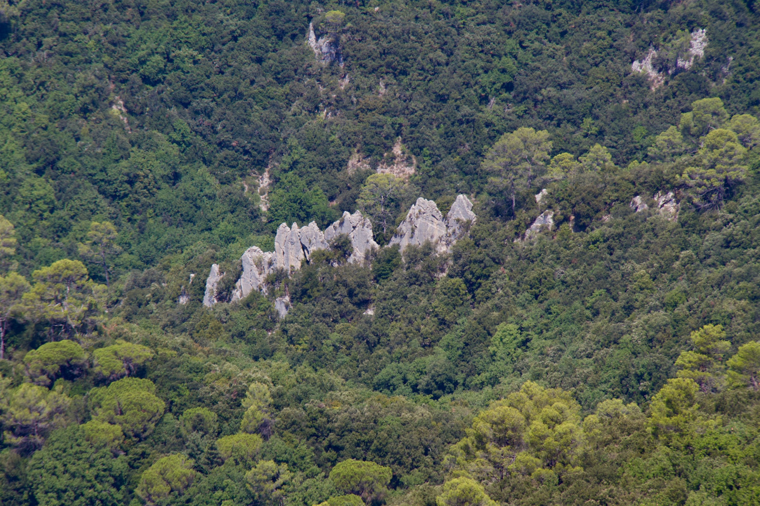 Randonne  Mounes les Montrieux (Les Charbonniers)