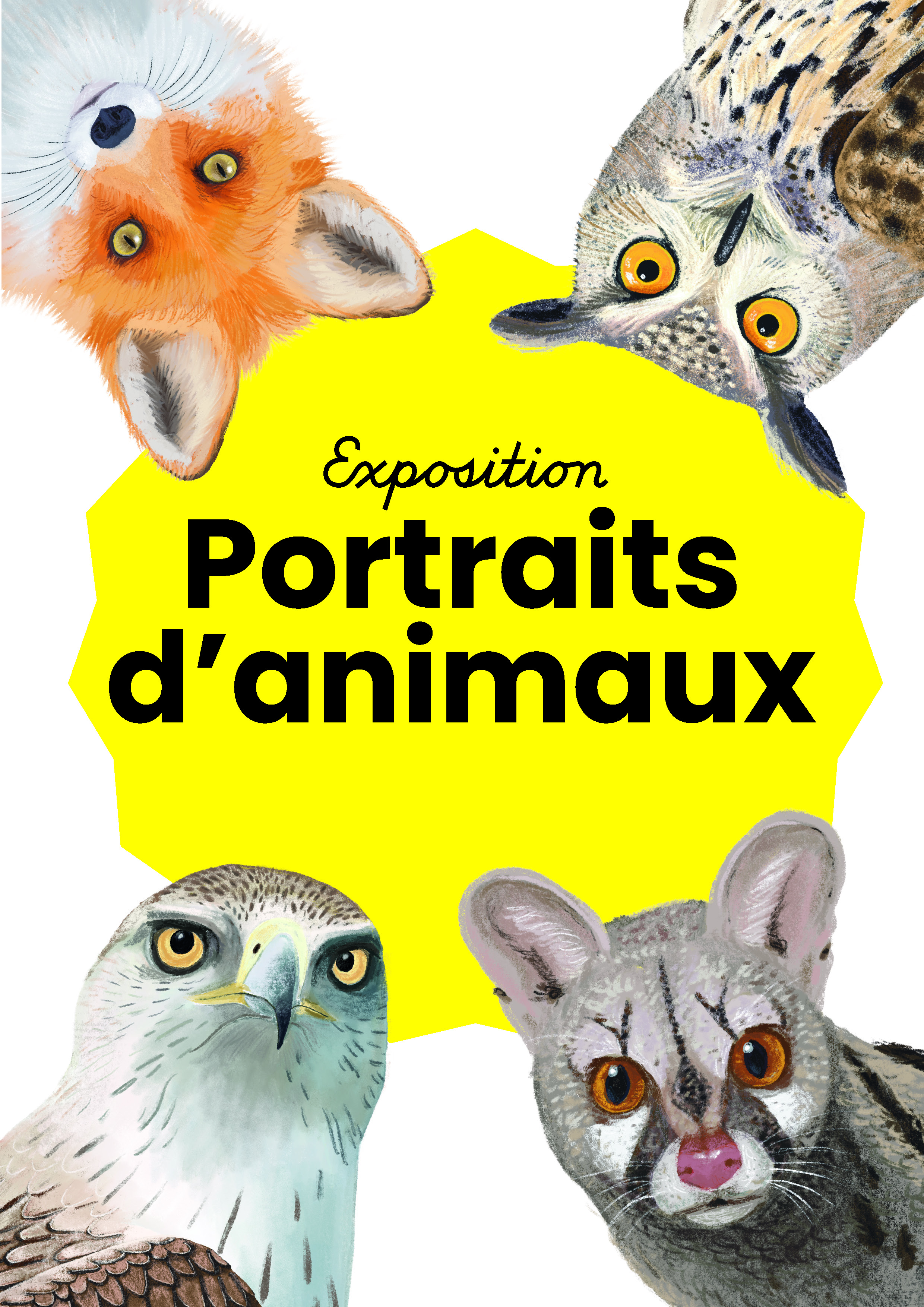 Portraits d'animaux