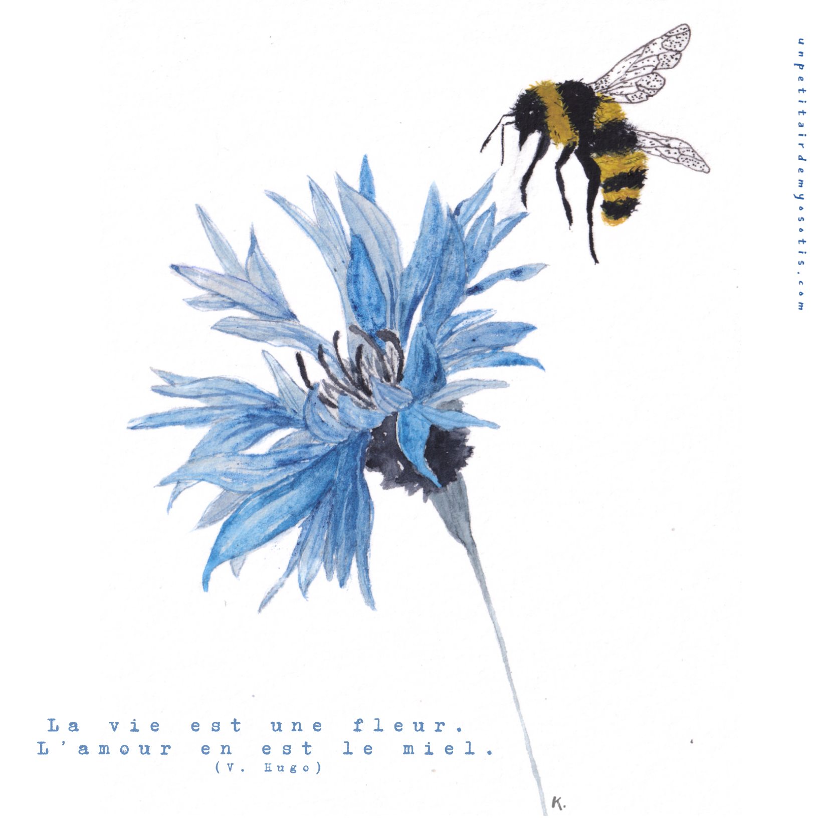 Exposition - Un petit air de myosotis