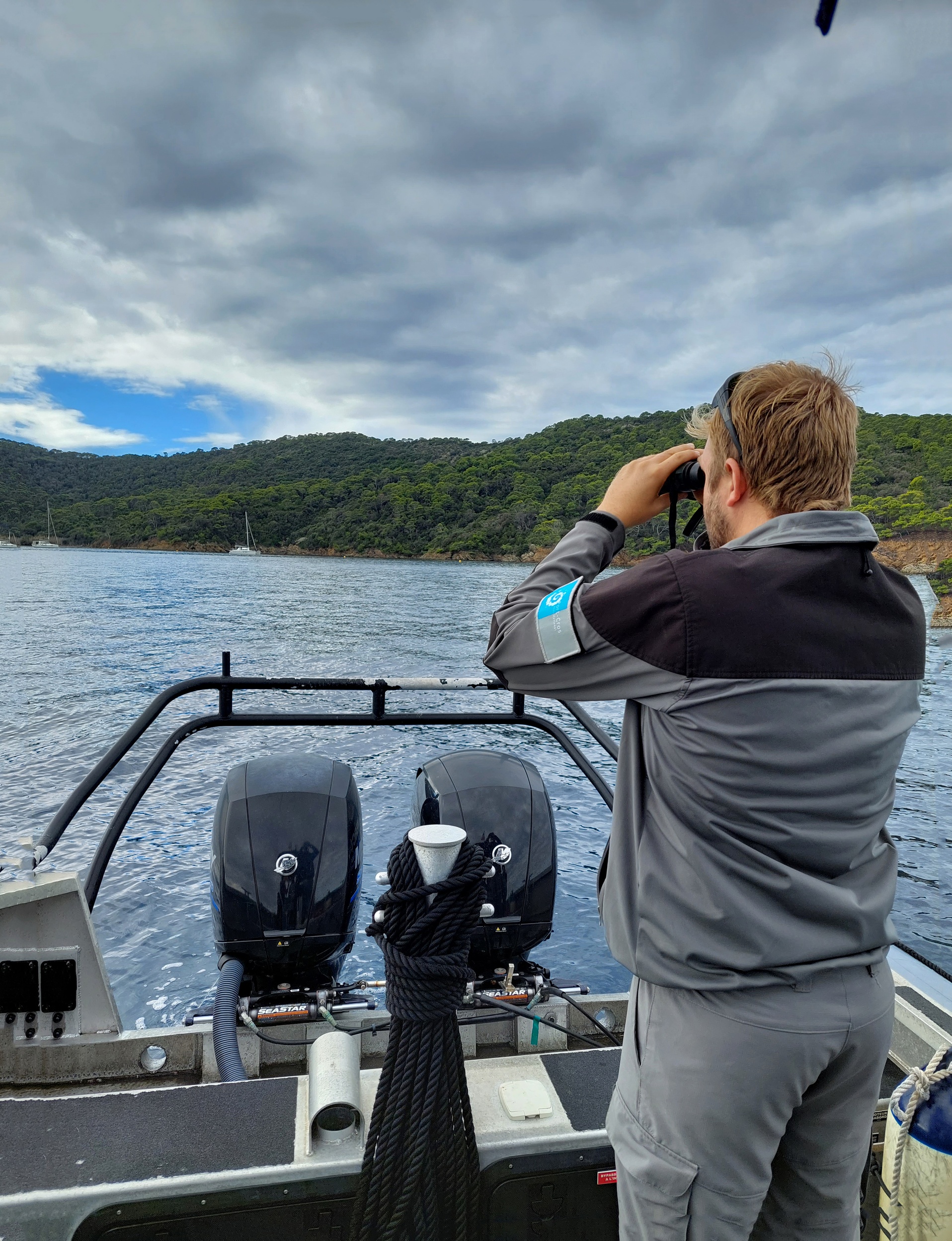 Point rencontre : Les requins en Mditerrane (Porquerolles)