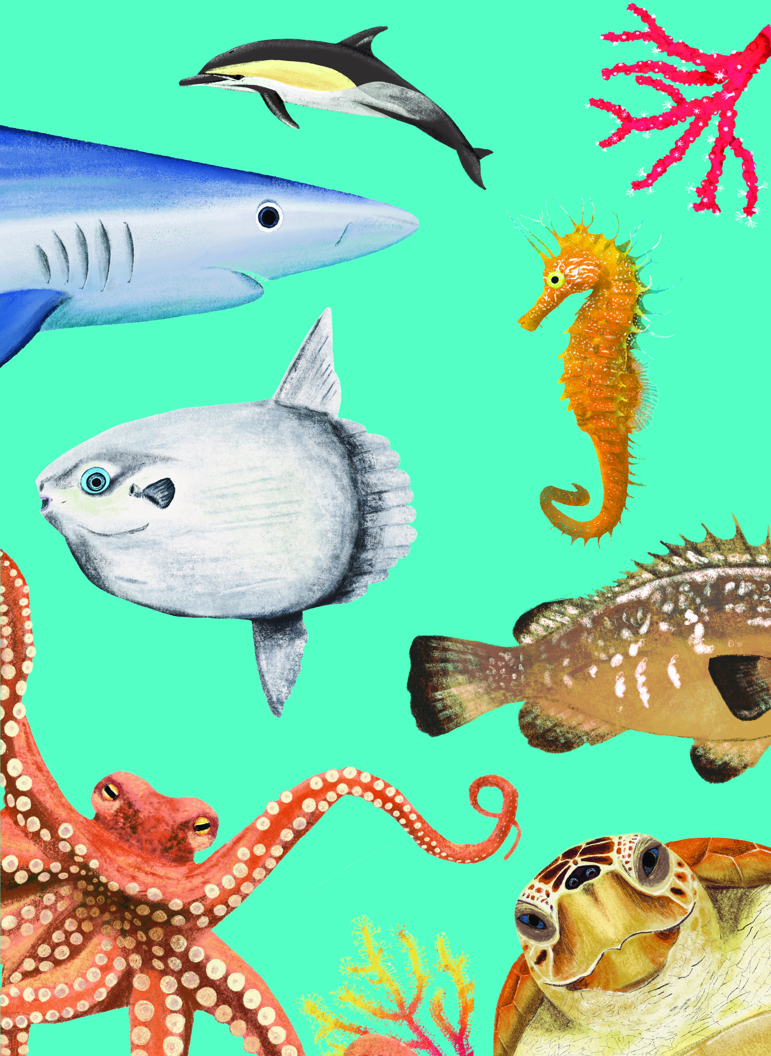 Exposition : Portrait d'animaux