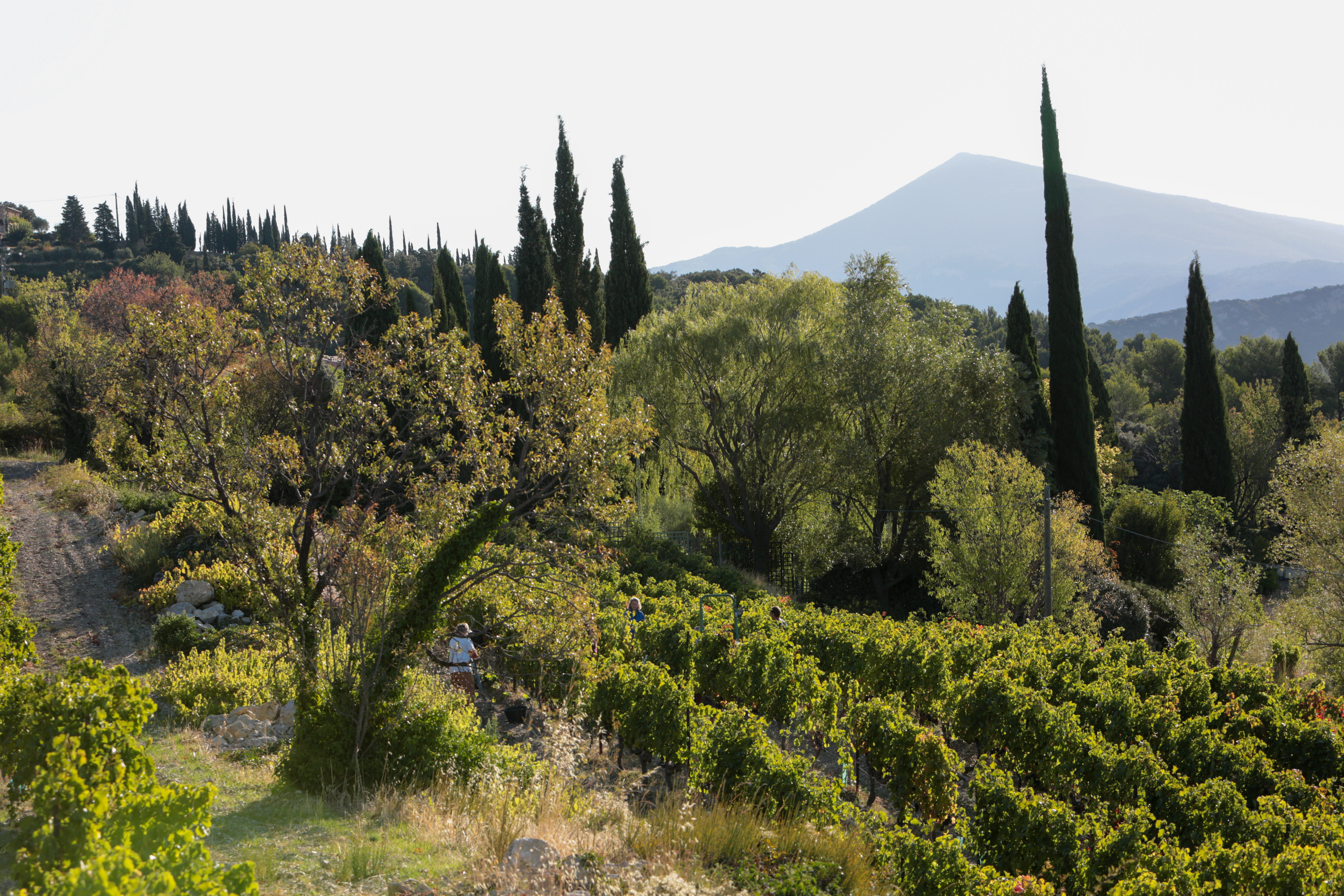 Visite guide du domaine