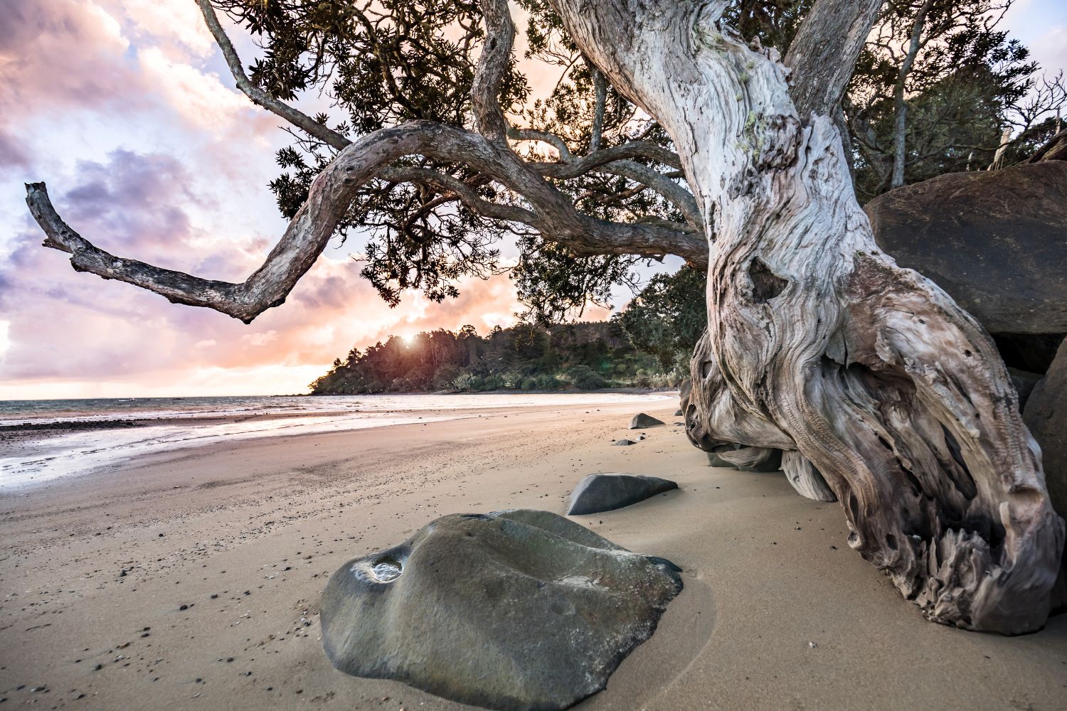 Exposition photographie - Thierry Pouget