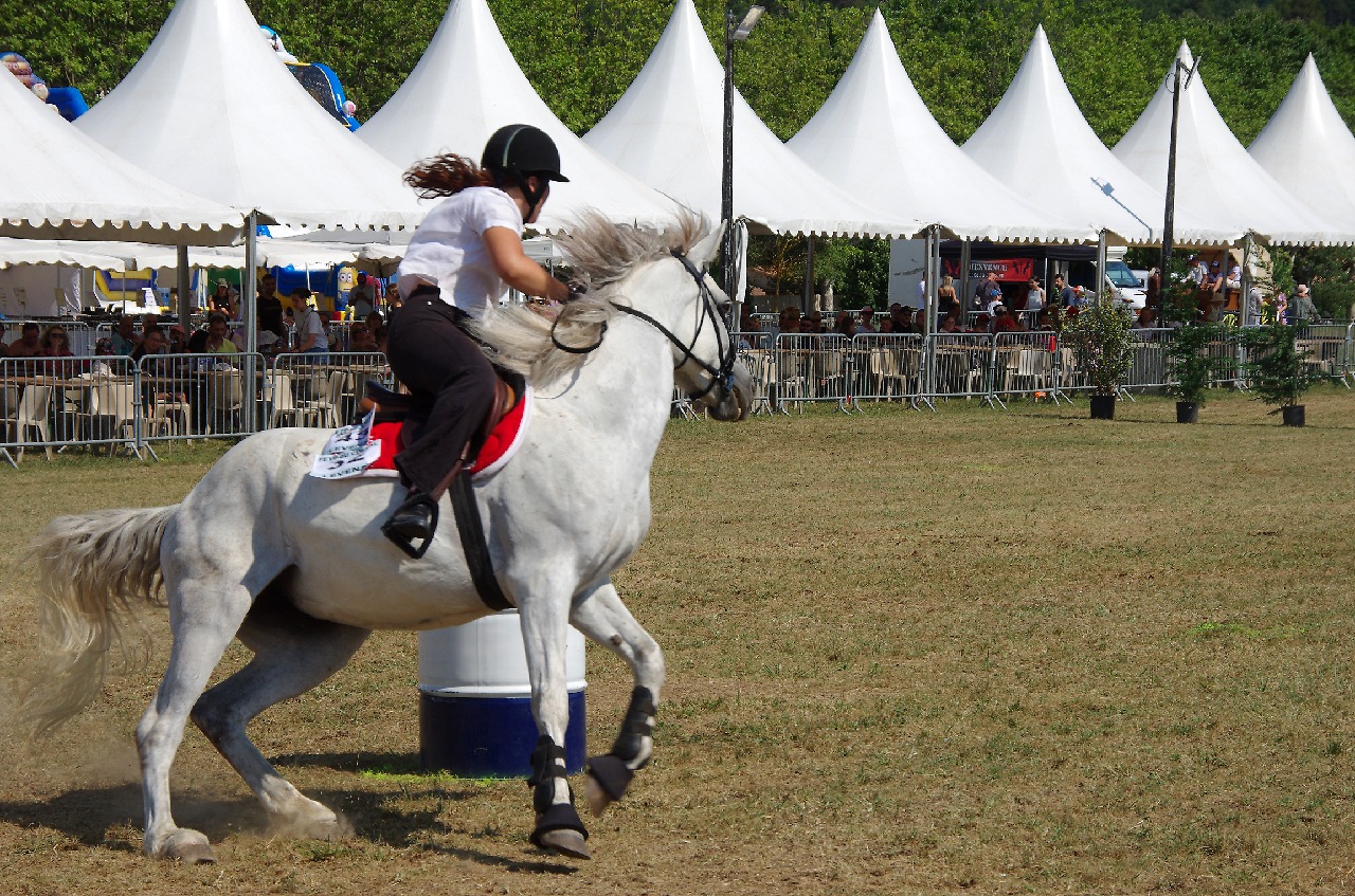 Fte du Cheval