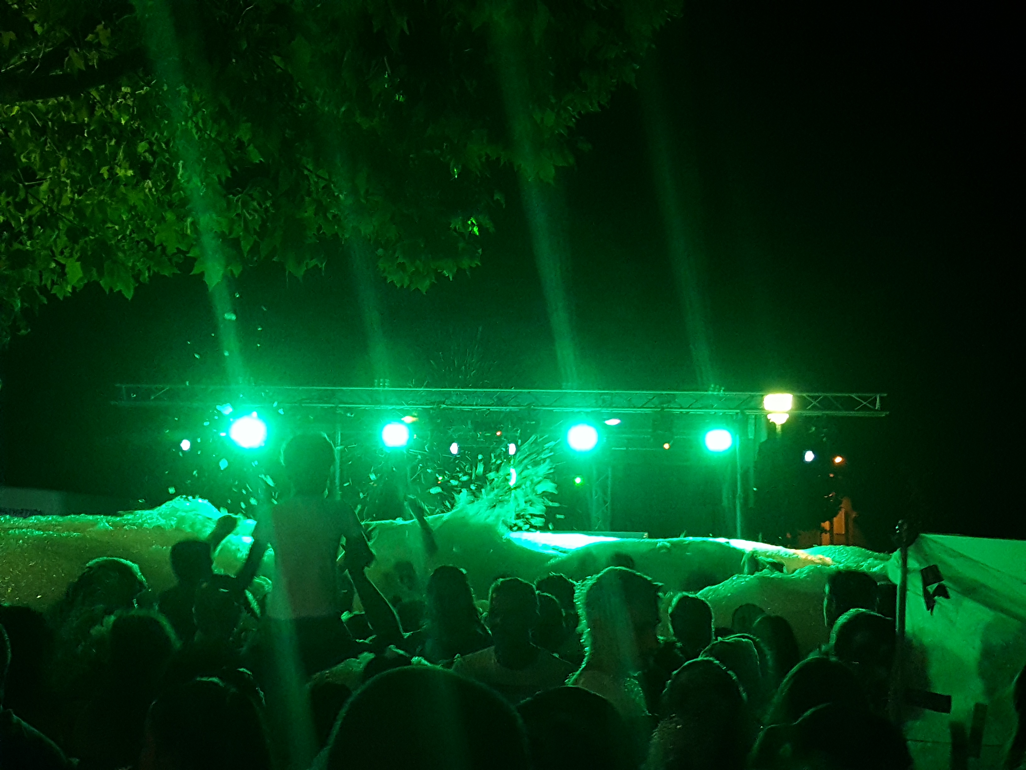 Festival 