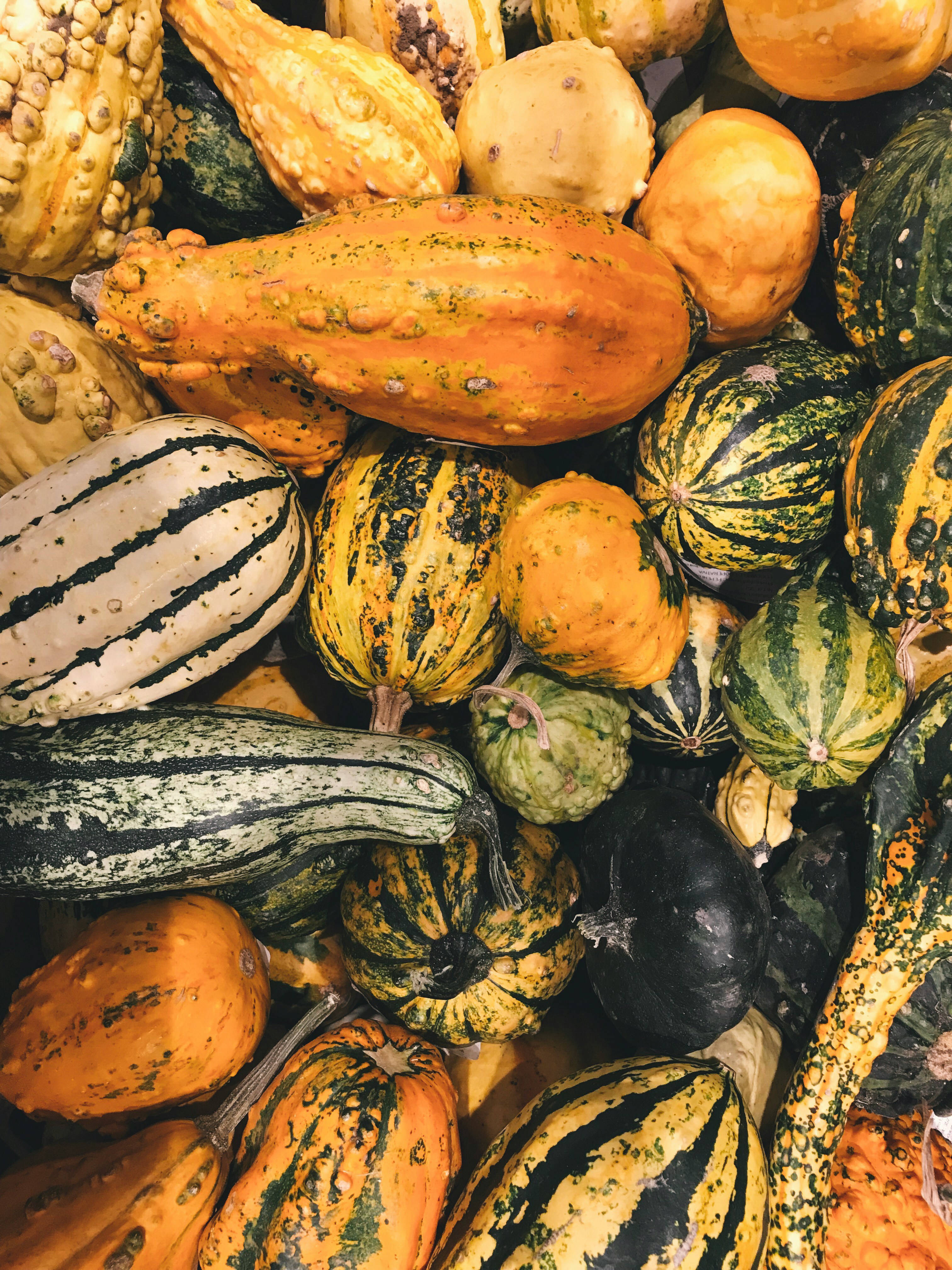 Concours: pese de la plus grosse courge