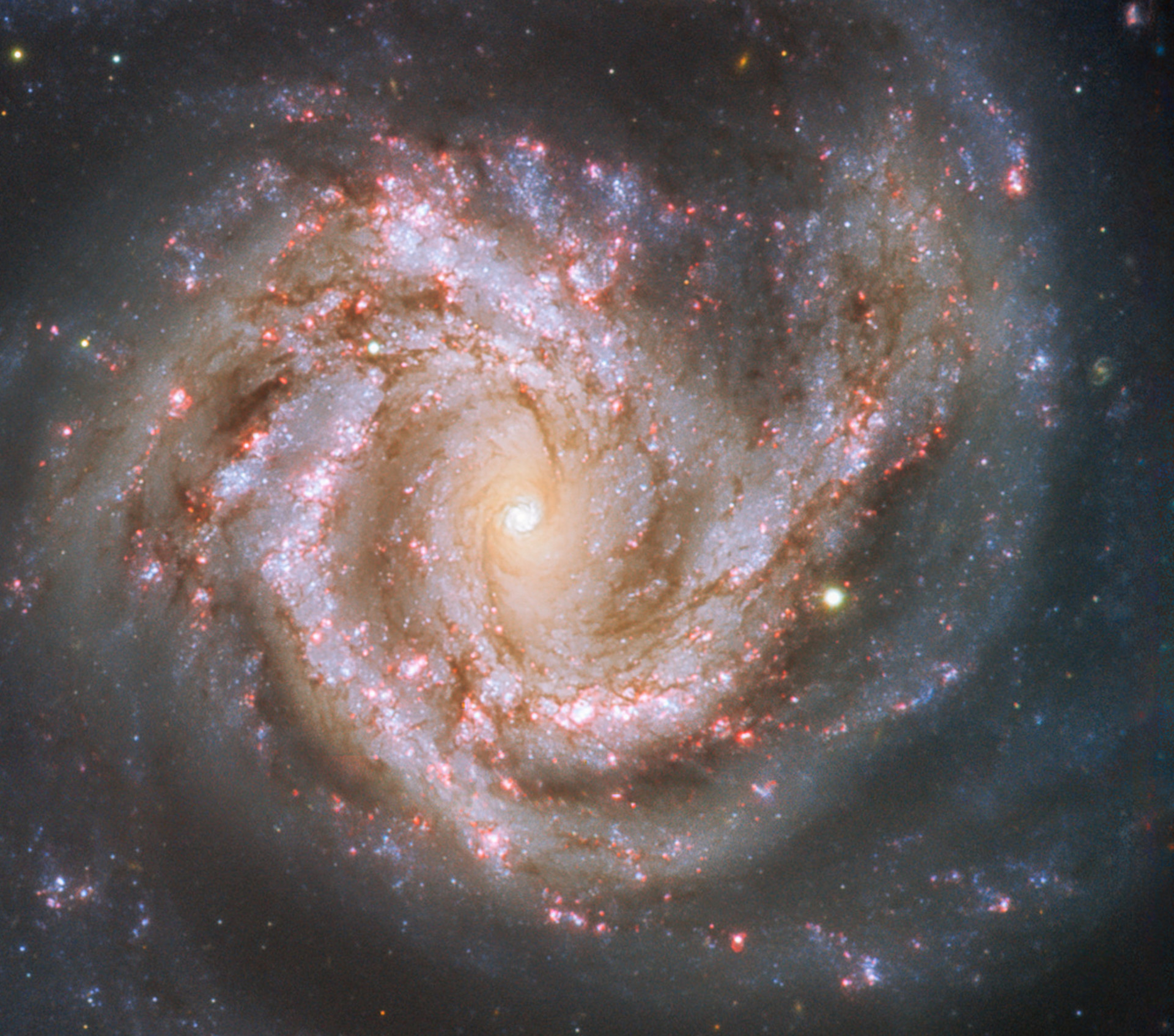 En qute de galaxies