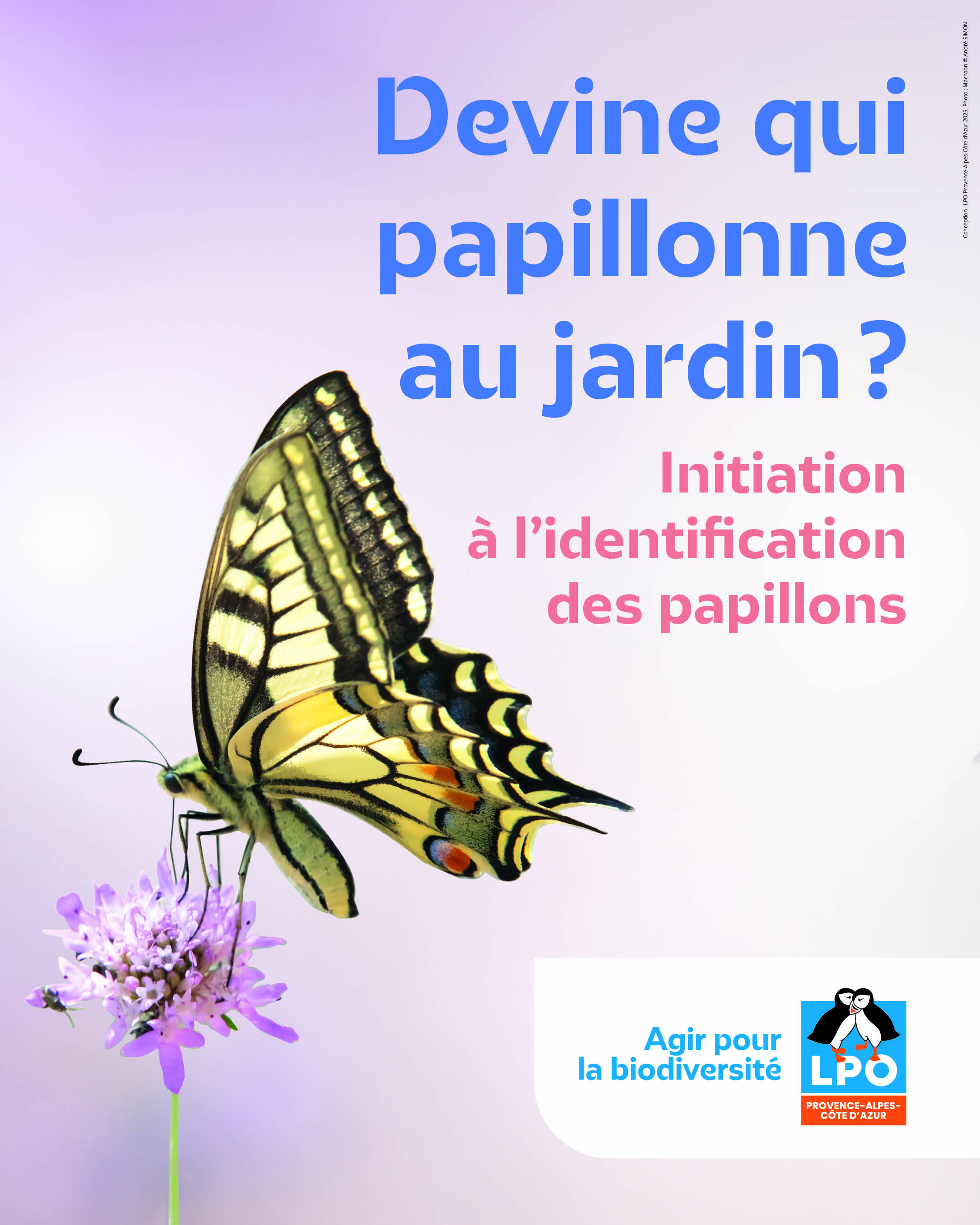 Sortie naturaliste 
