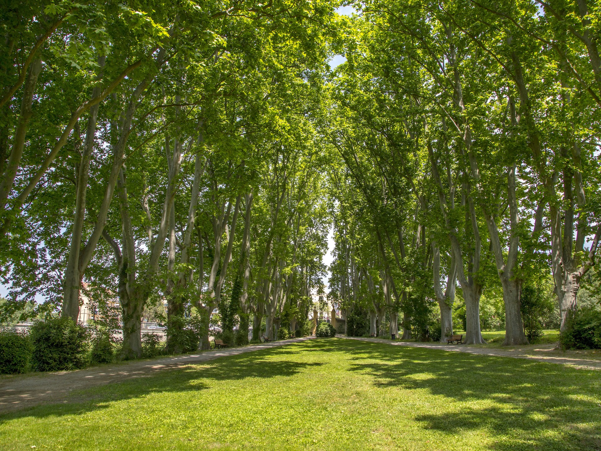 Visite approfondie en franais de la bastide du Jas de Bouffan