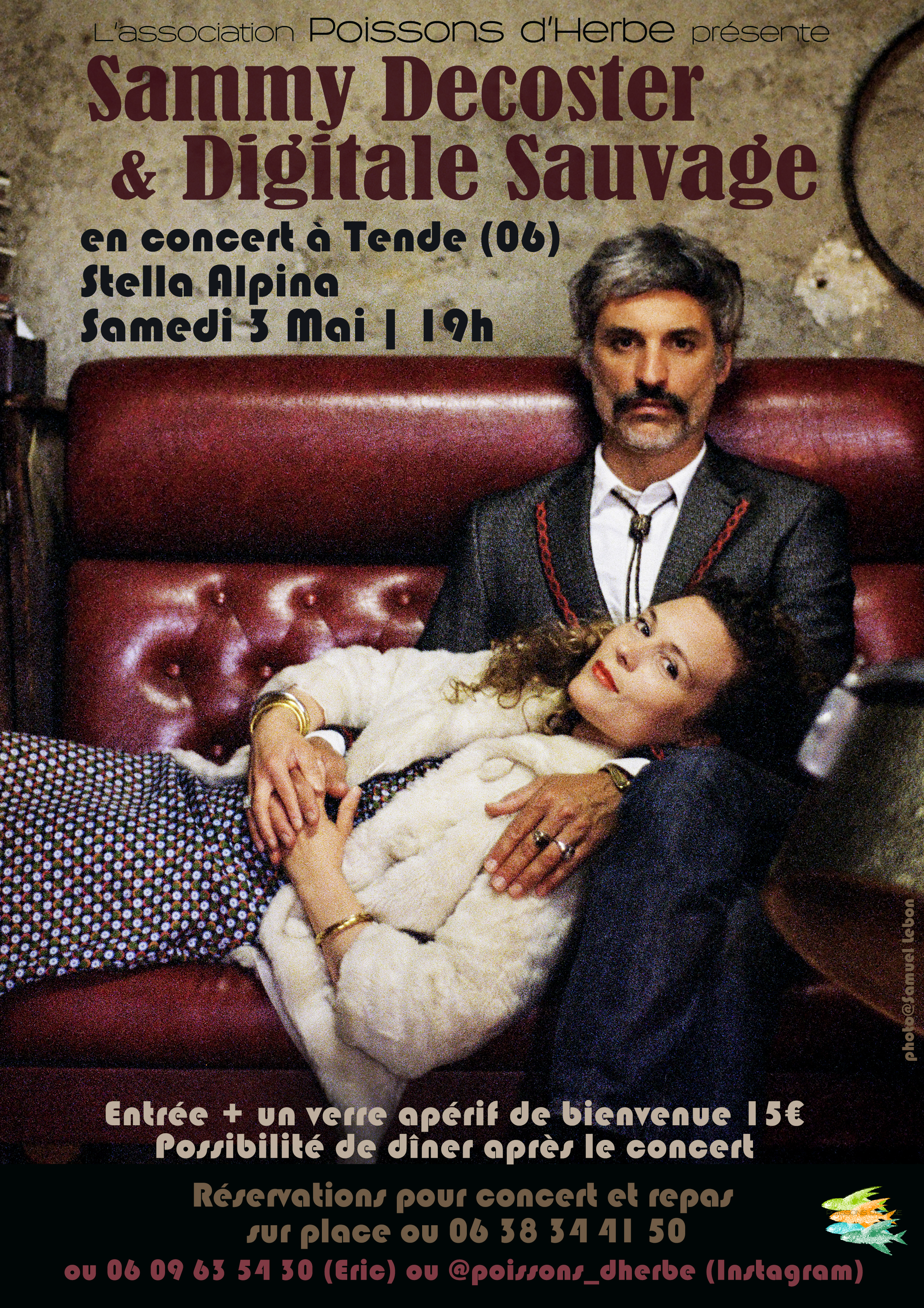 Concert de Sammy Decoster et Digitale Sauvage