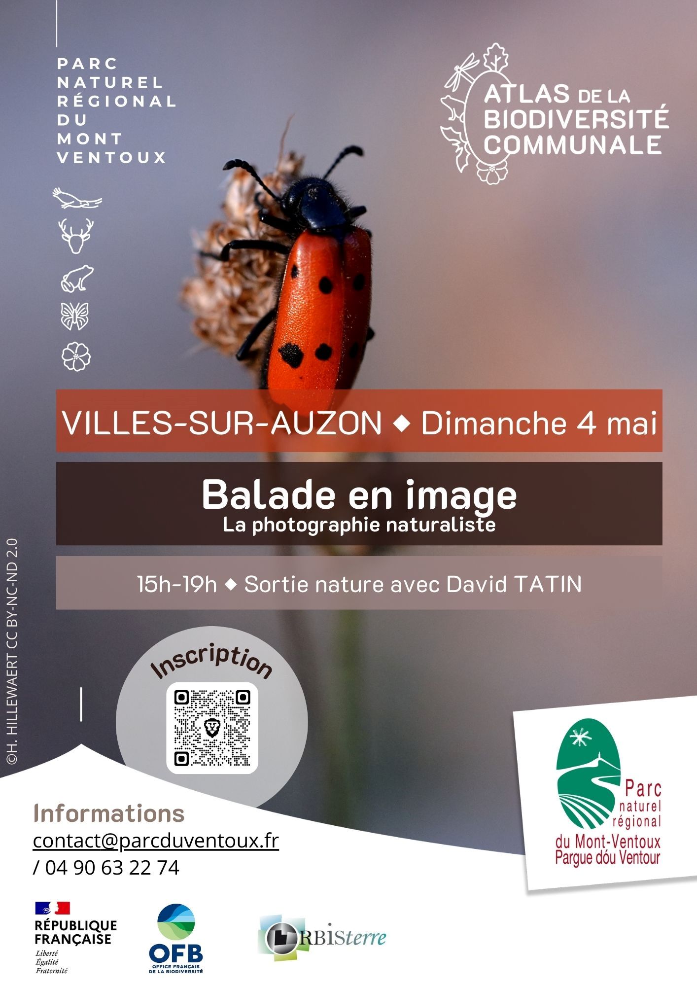 Les sorties Biodiv'ABC du Parc : Balade en image - La photographie naturaliste