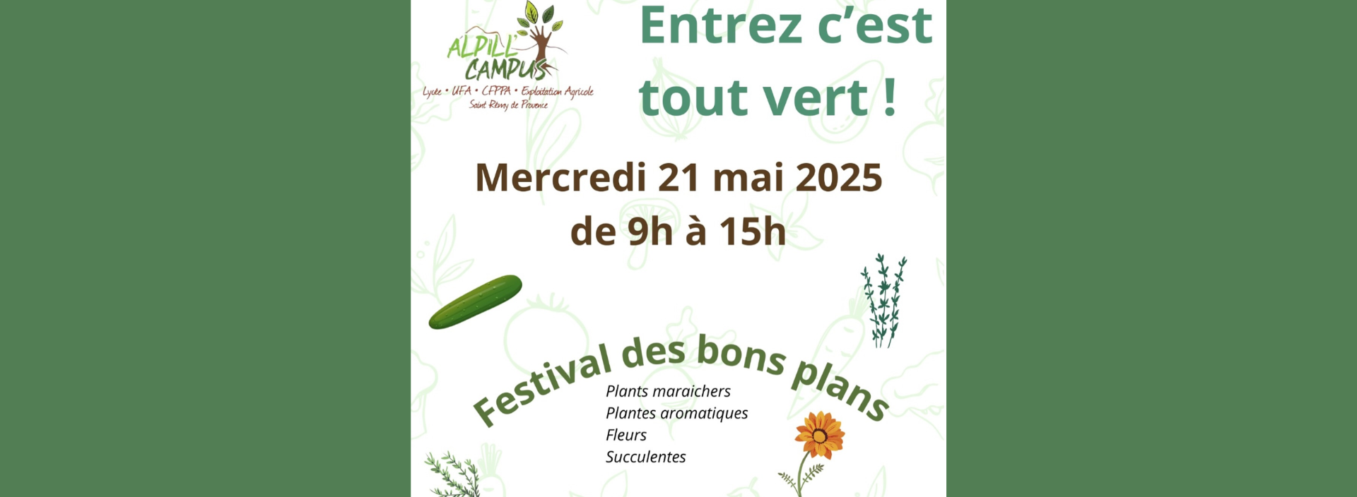Festival des bons plans