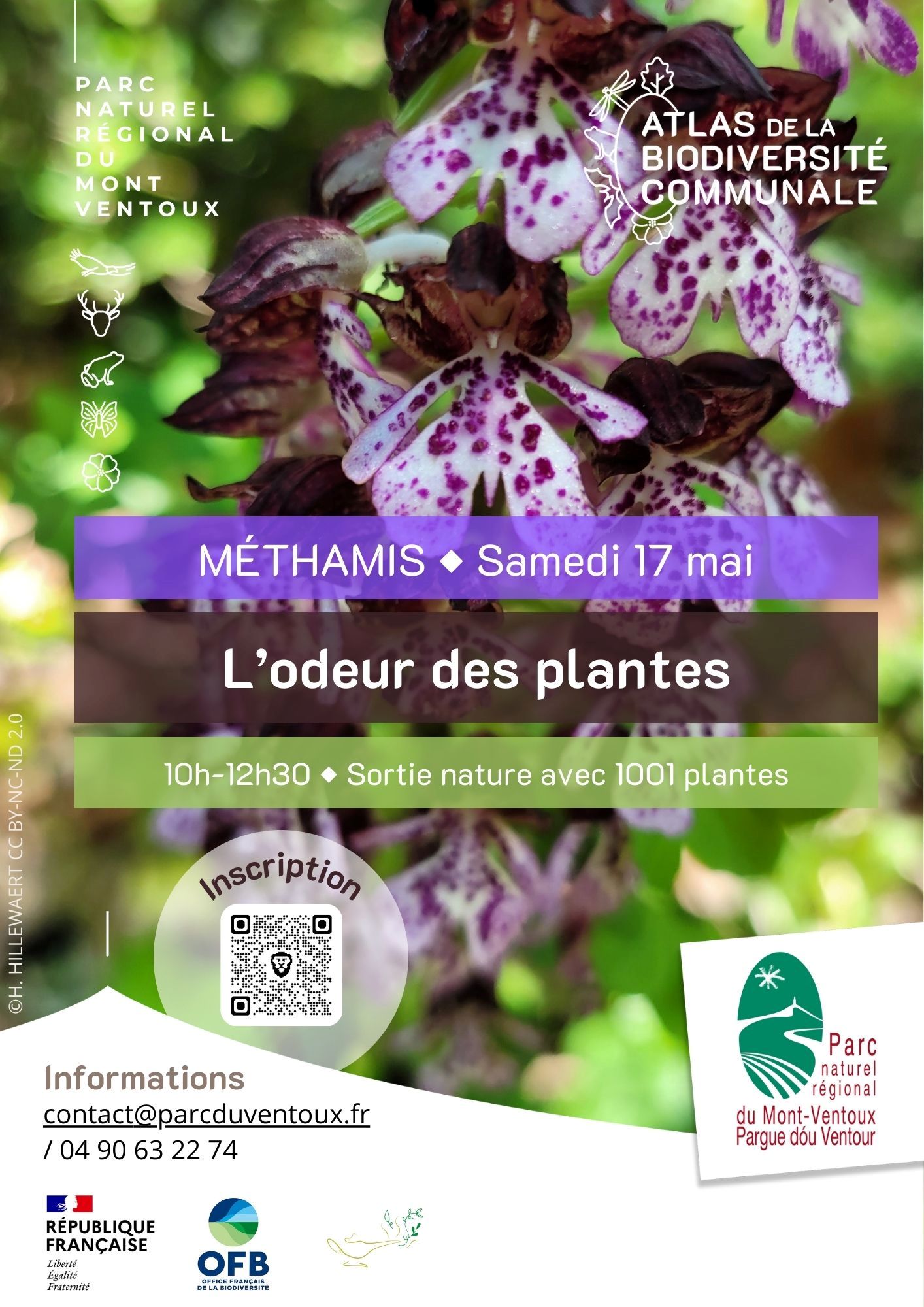 Les sorties Biodiv'ABC du Parc : L'odeur des plantes