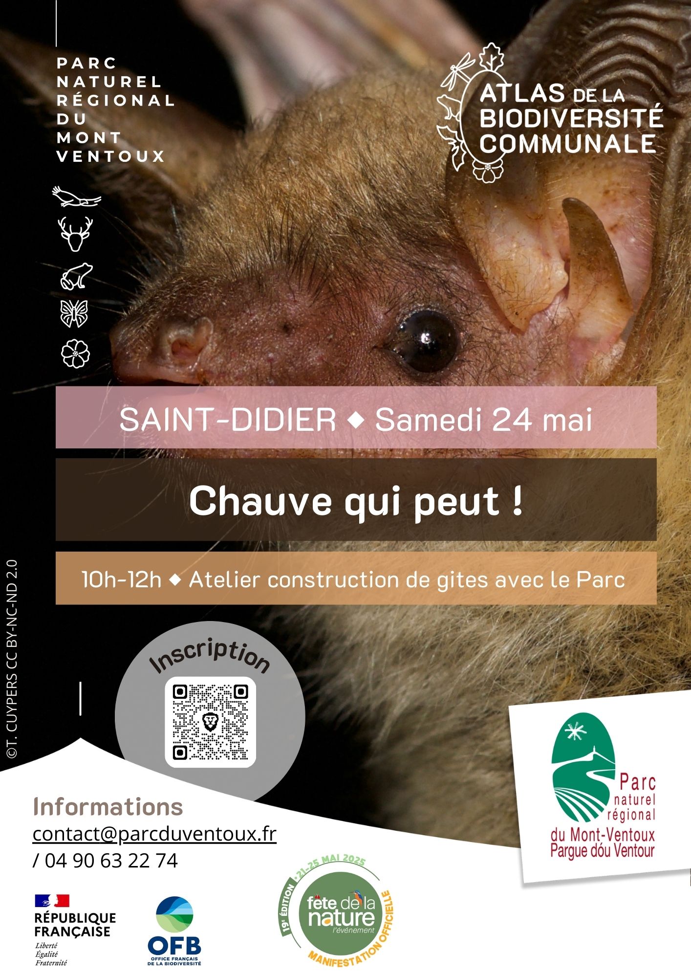 Les rendez-vous du Parc : Chauve qui peut