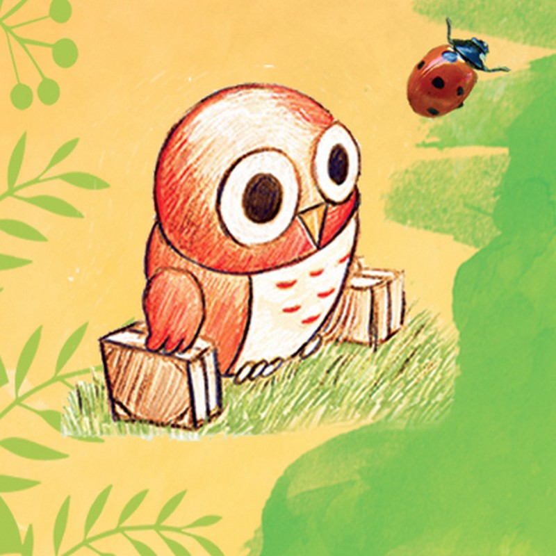 Envole de Coccinelles