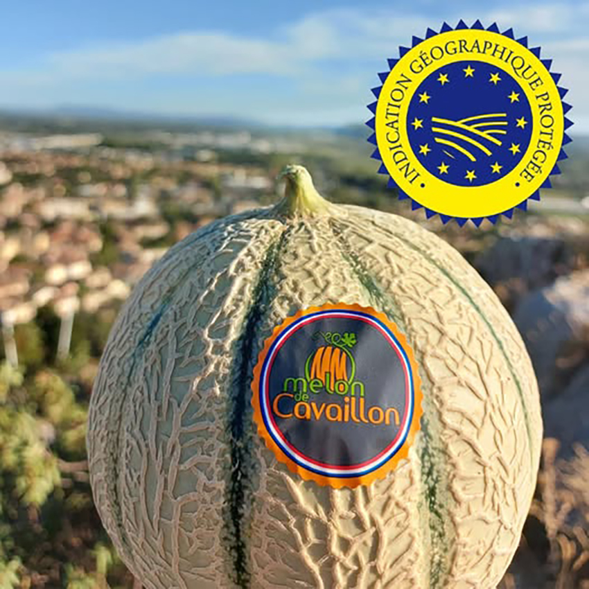 IGP : chapeau le melon ! - Visites surprises