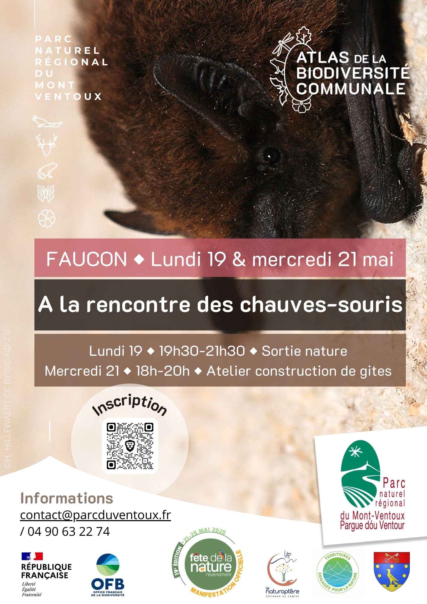 Les sorties Biodiv'ABC du Parc - Atelier construction de gte pour chauve-souris