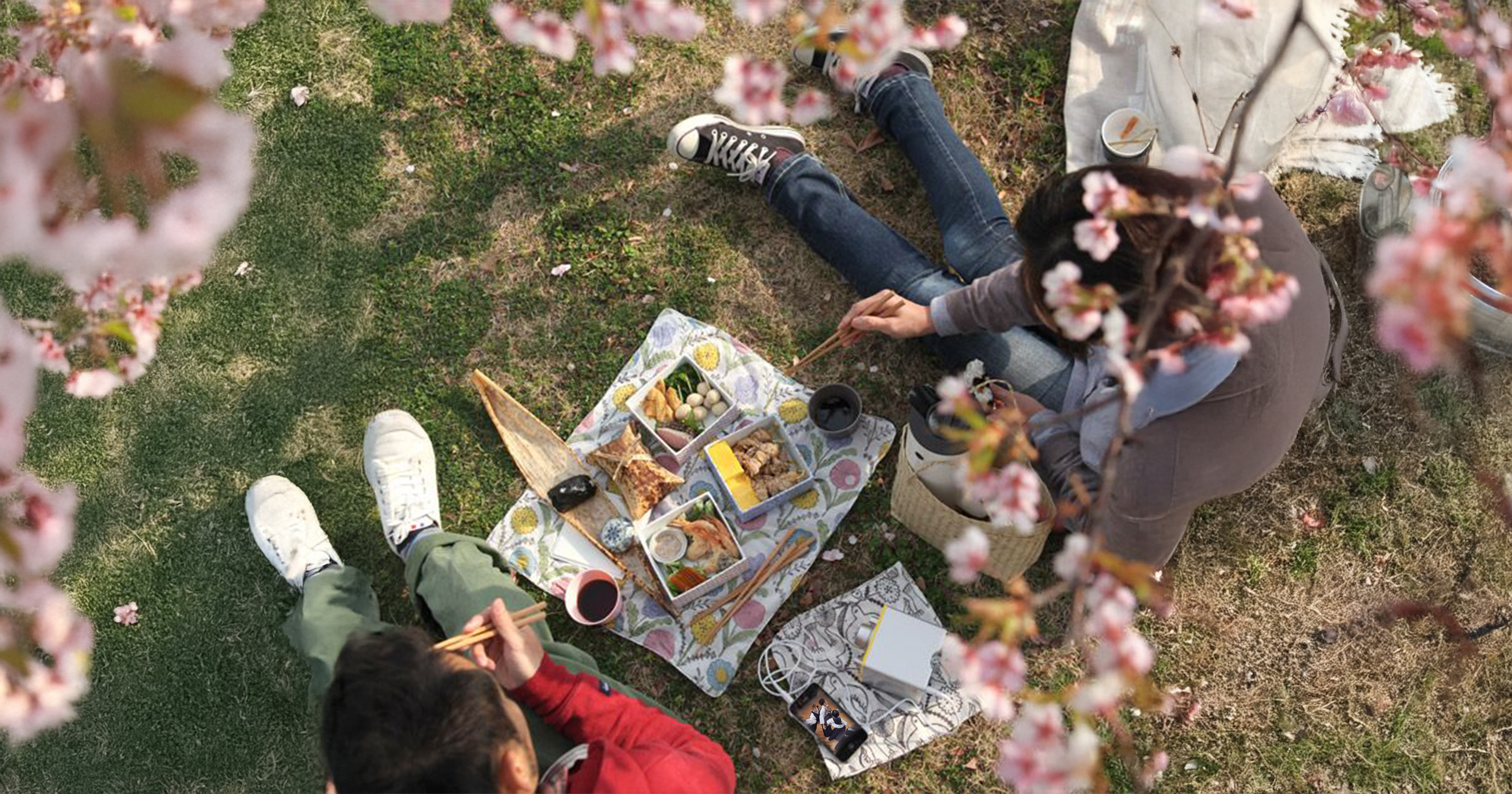L'aprs-midi Hanami !