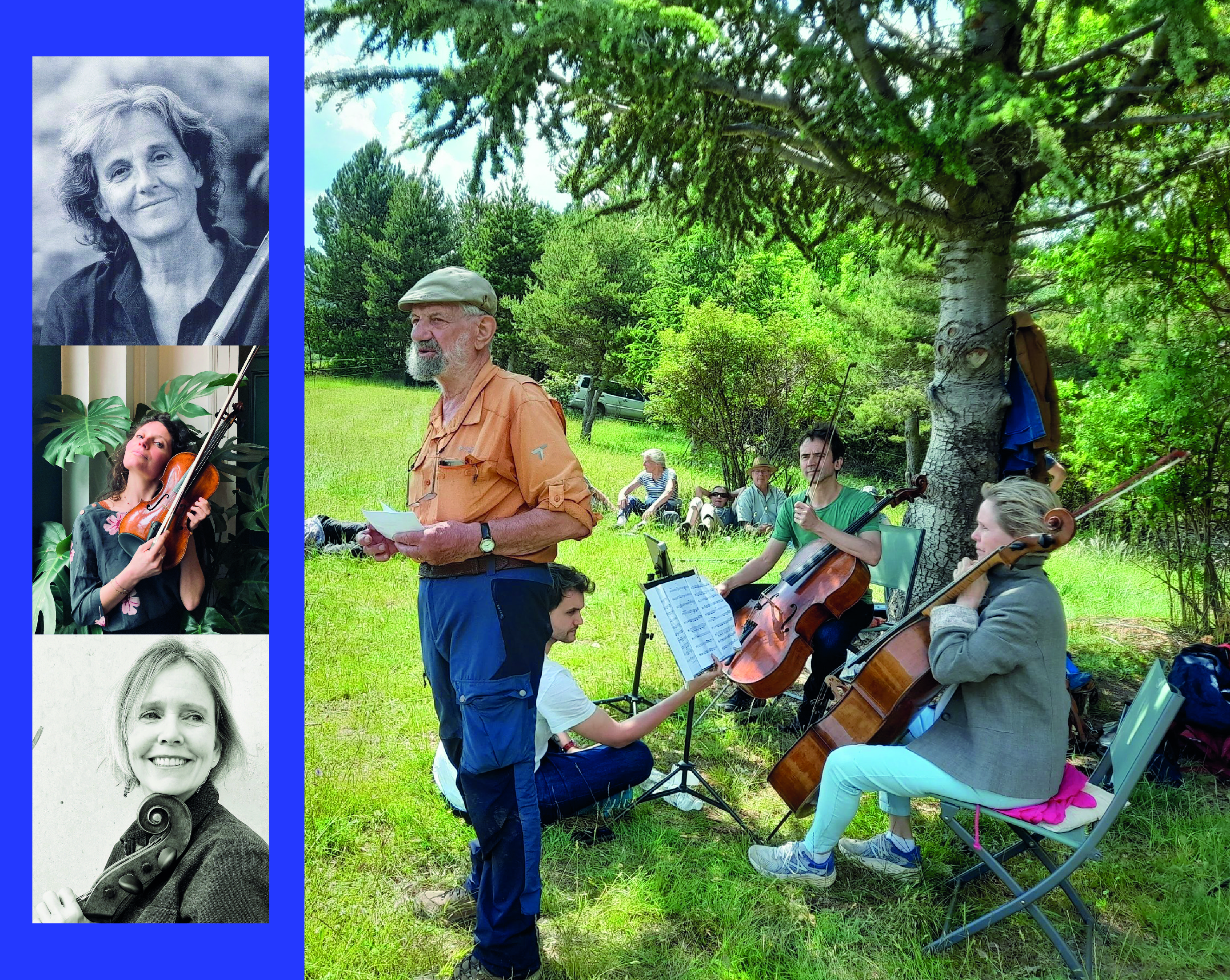 Concert -randonne : une journe musicale en pleine nature