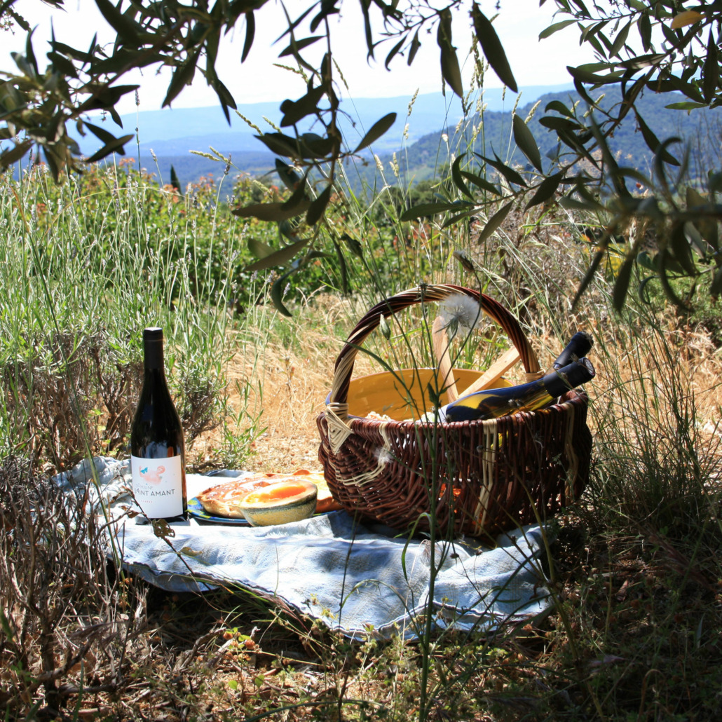 Pique-nique au domaine de Saint-Amant