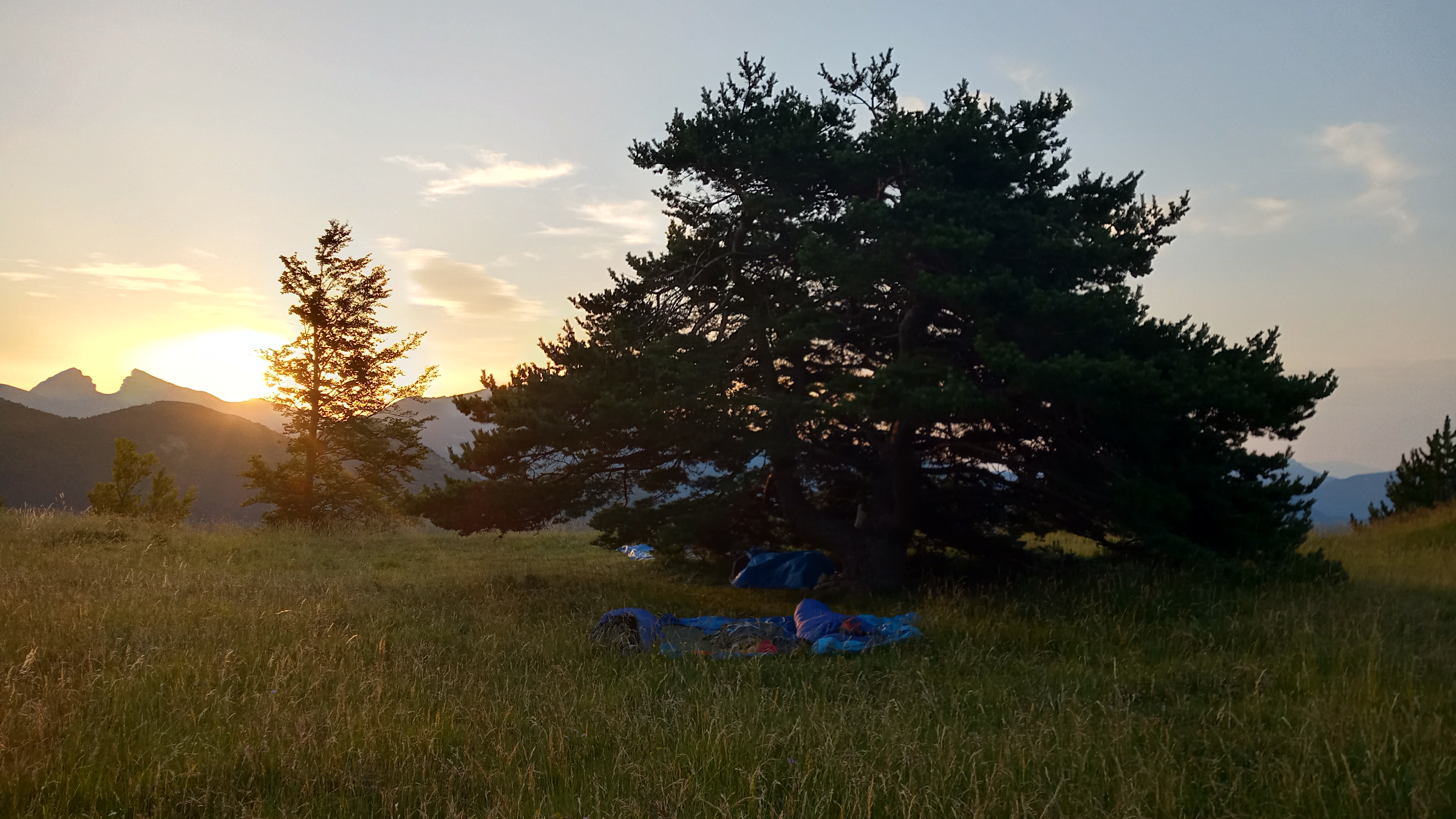 Bivouac sous les toiles avec les nes