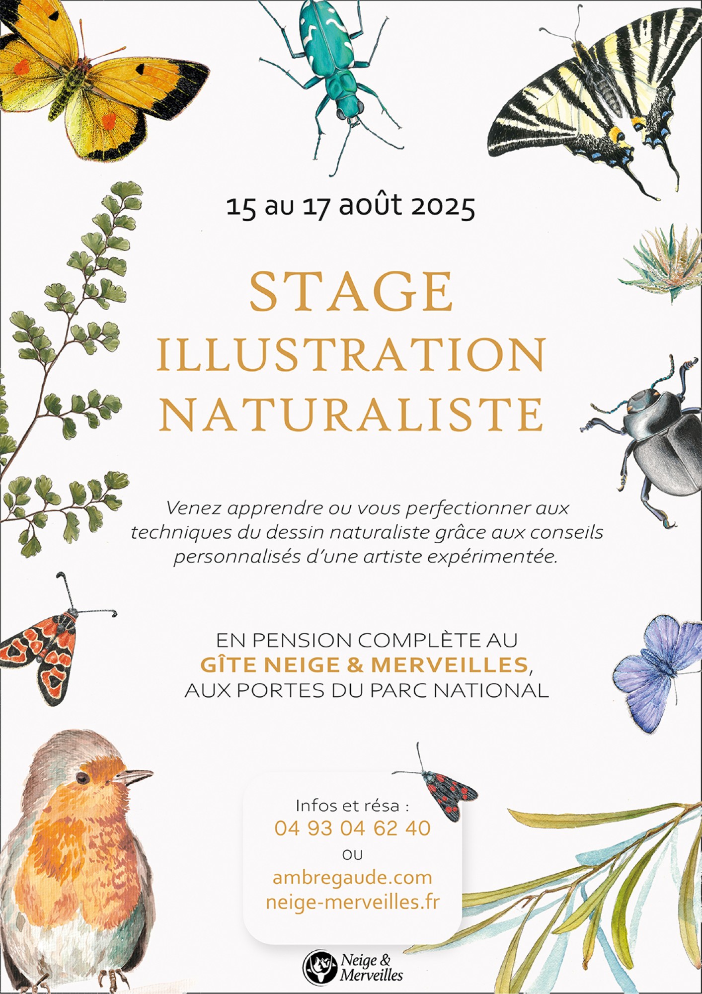 Stage d'initiation au dessin naturaliste