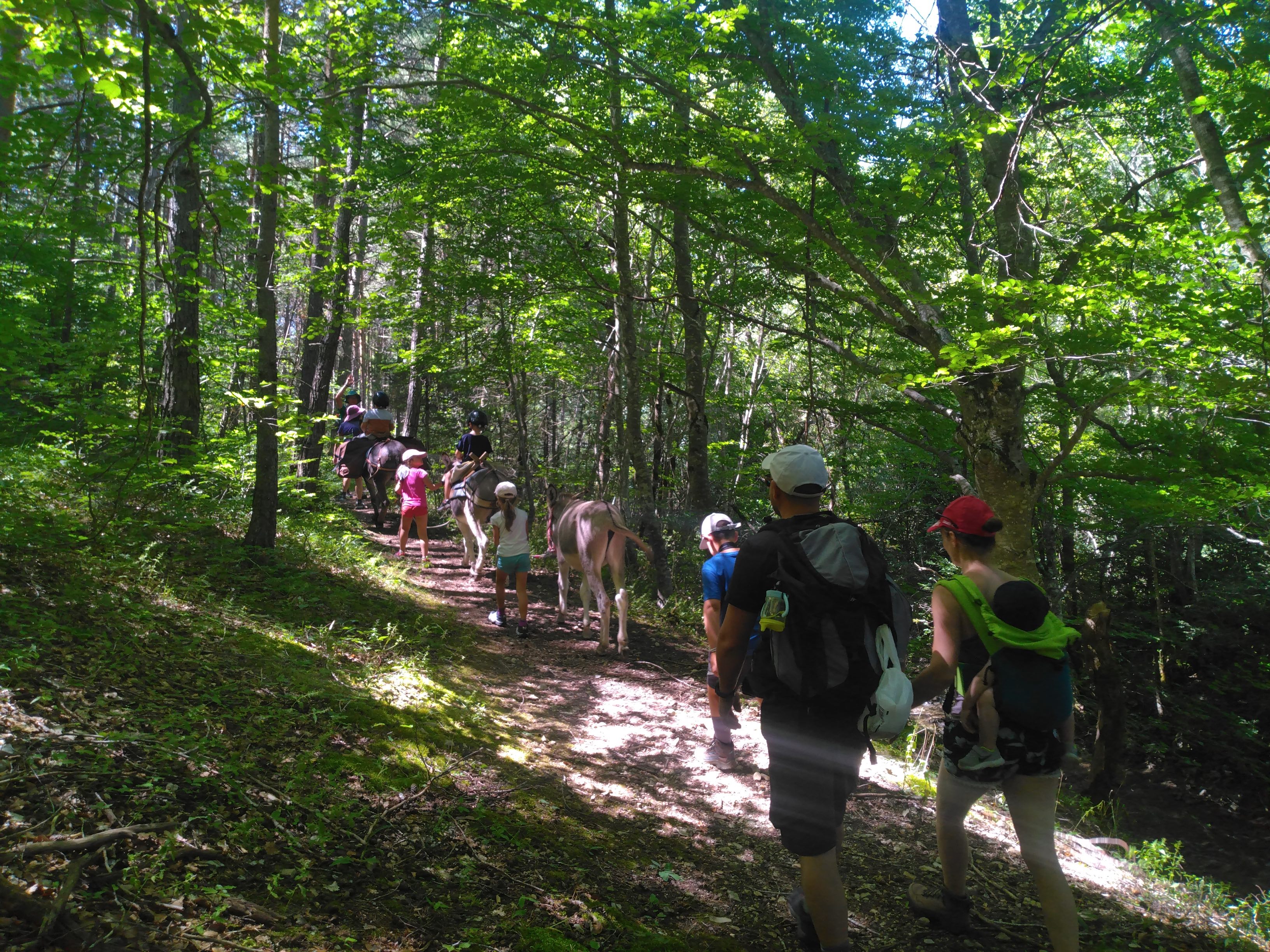 Rando pic-nic paysan avec les nes au fil de l'eau
