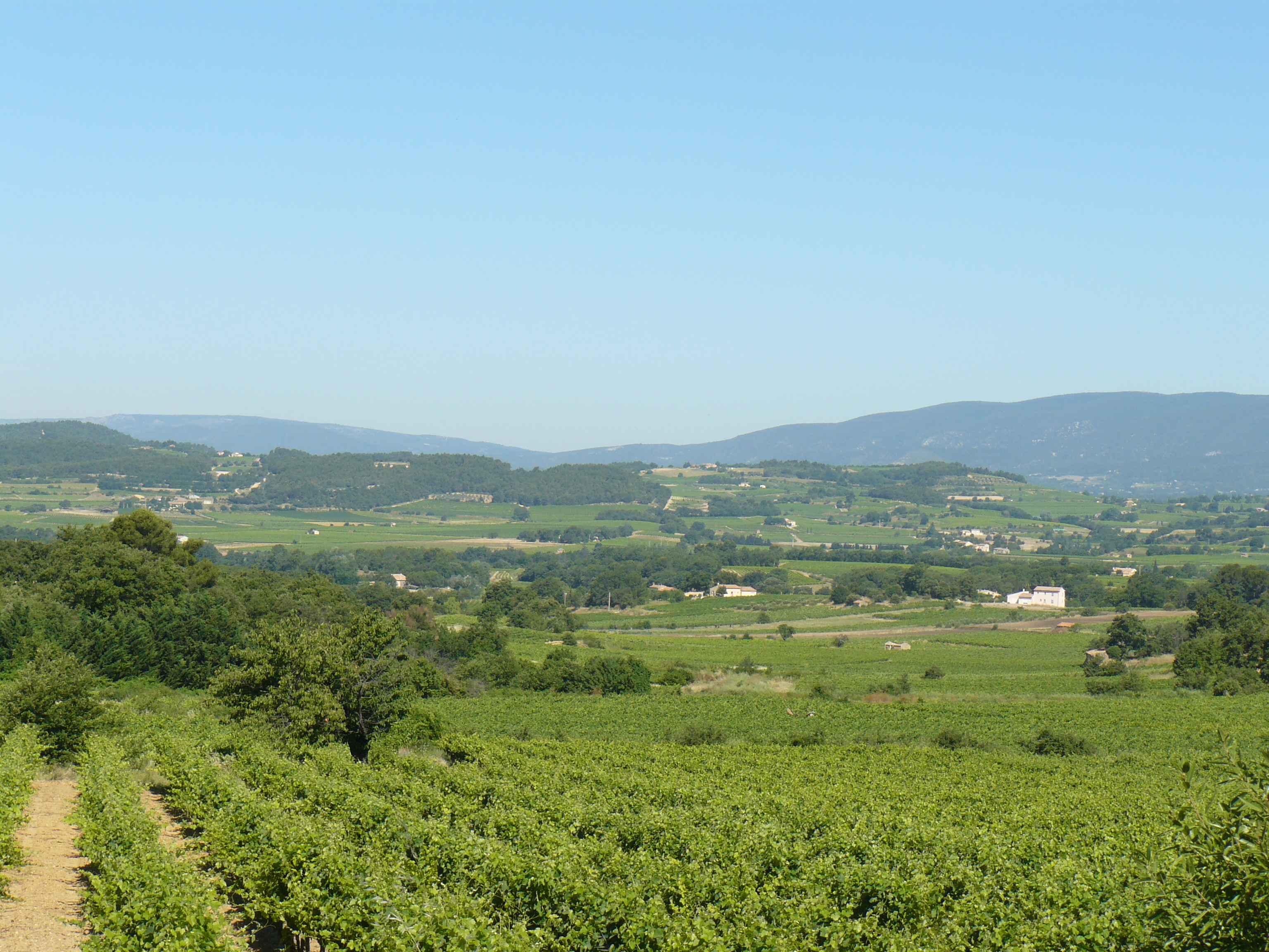 Sortie buissonnire 