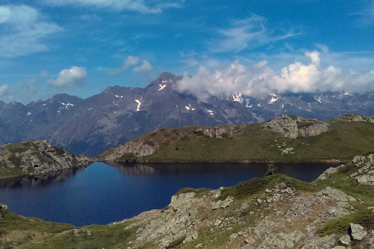 Conférence : Pelouses alpines et changement climatique