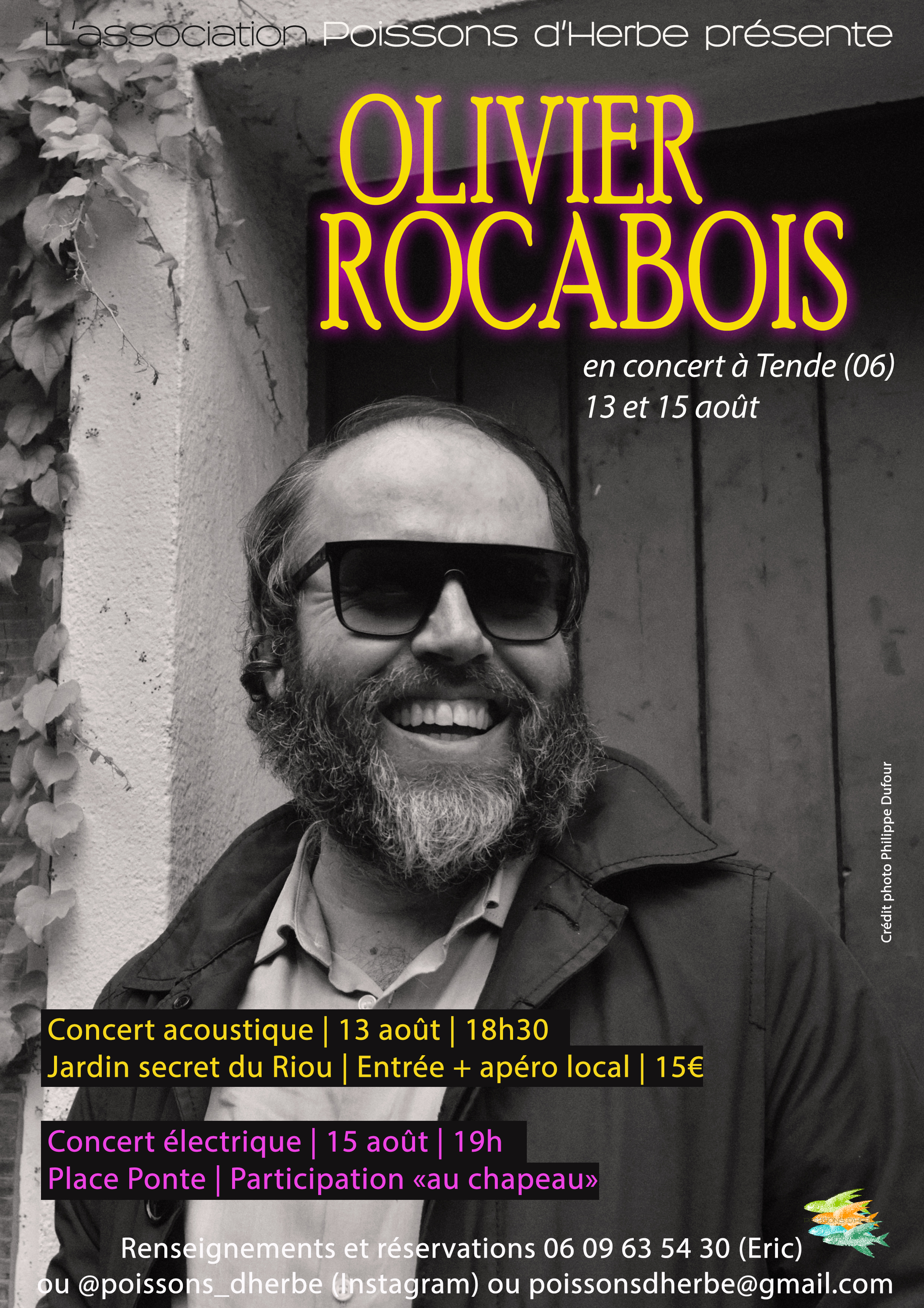 Concert Olivier Rocabois