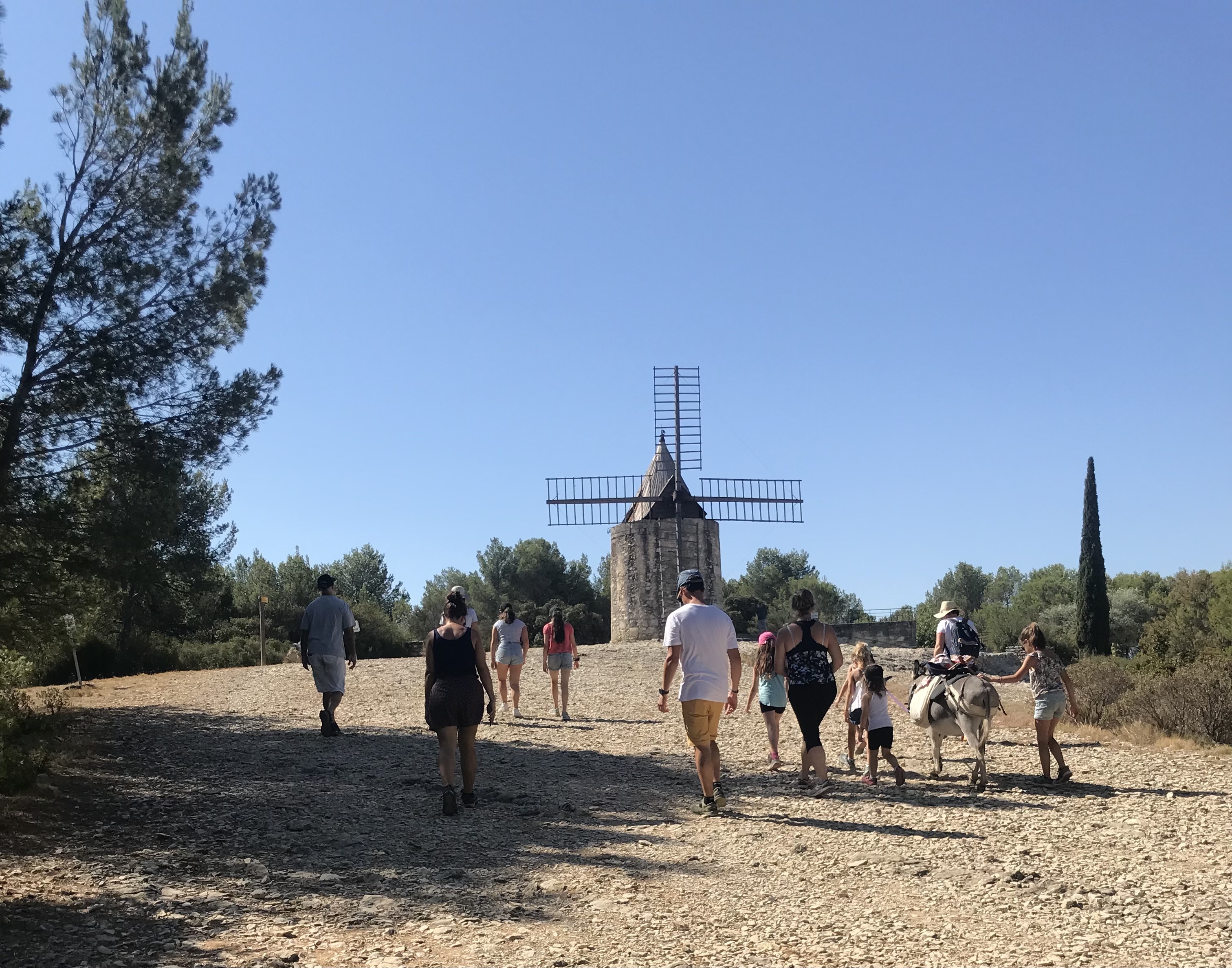 Balade en compagnie des petits nes: Sur le sentier des Moulins