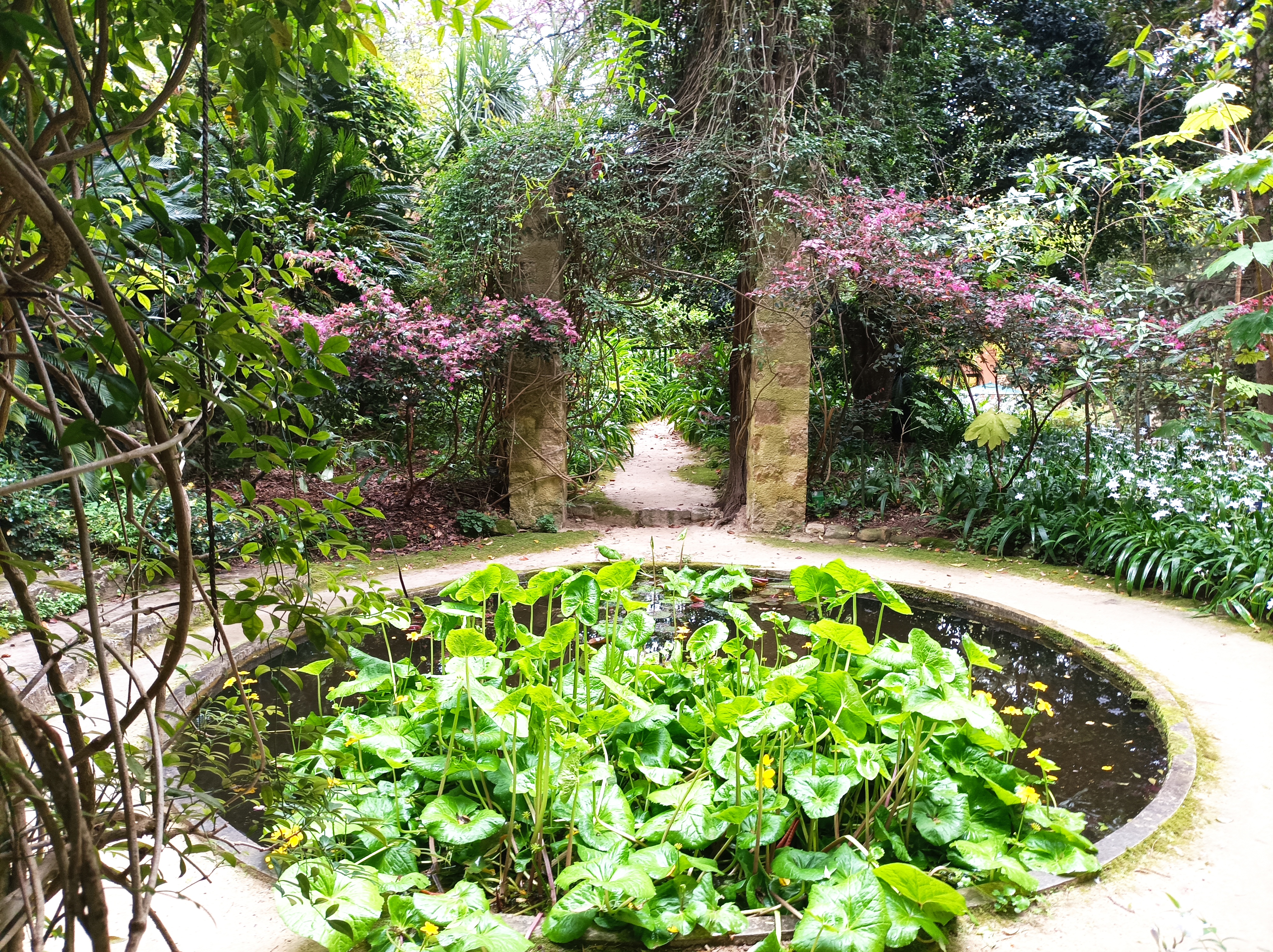 Rendez vous au jardins 2025 : 