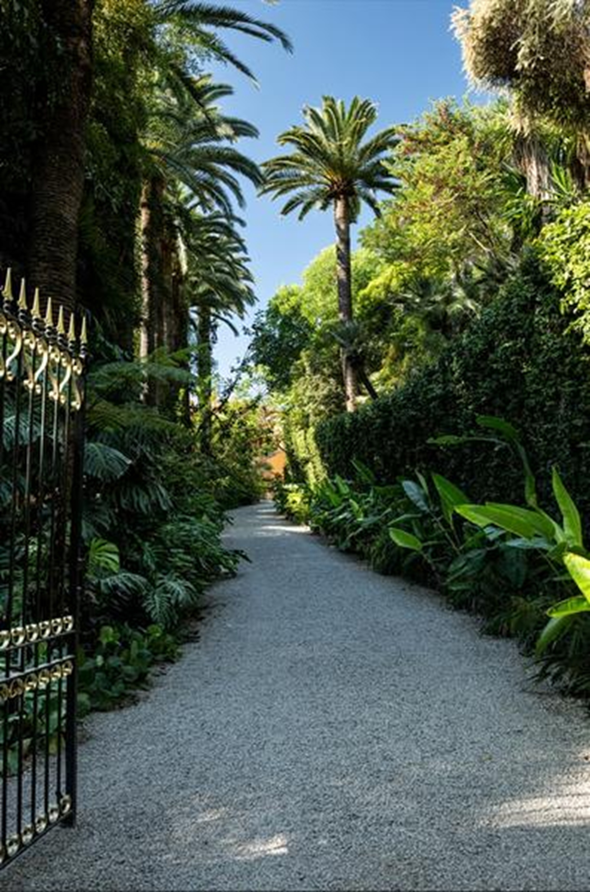 Secret des jardins botaniques: crer l'merveillement pour instruire et pour agir