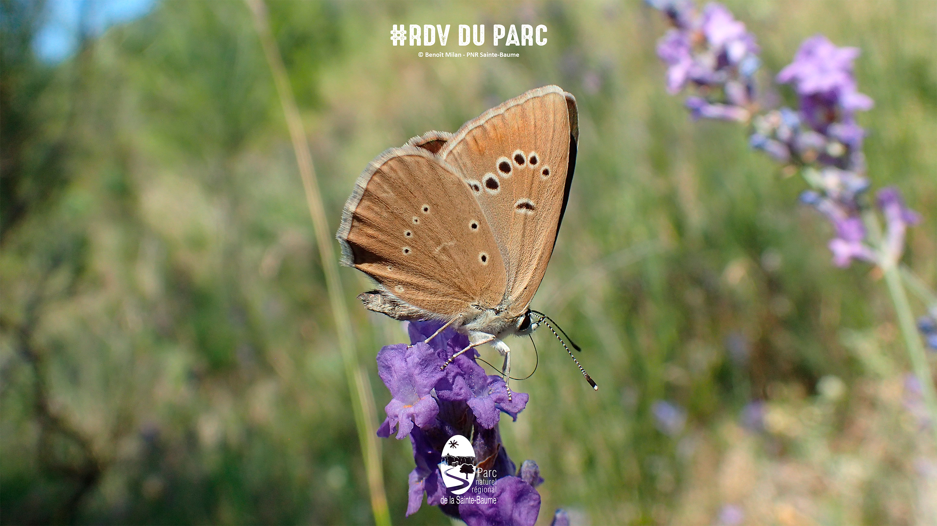 Pistons la nature #RDVduParc