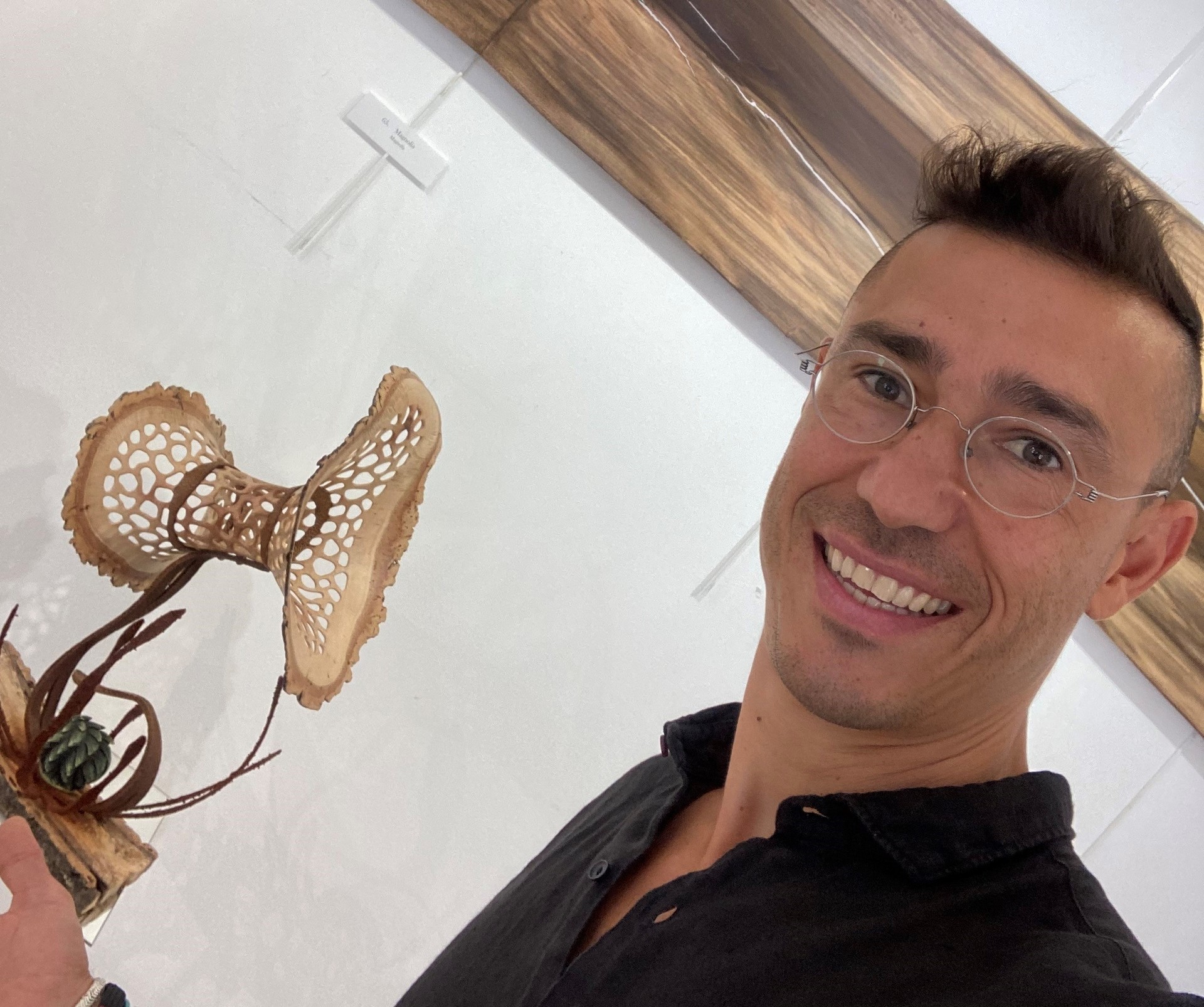 Exposition  De larbre  lart  de Ludovic Bourgeois
